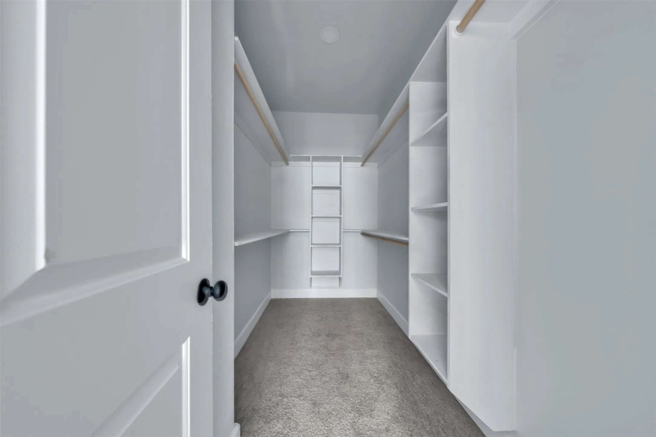 Walk-in closet featuring built-in shelving, hanging rods, recessed lighting, and carpet flooring