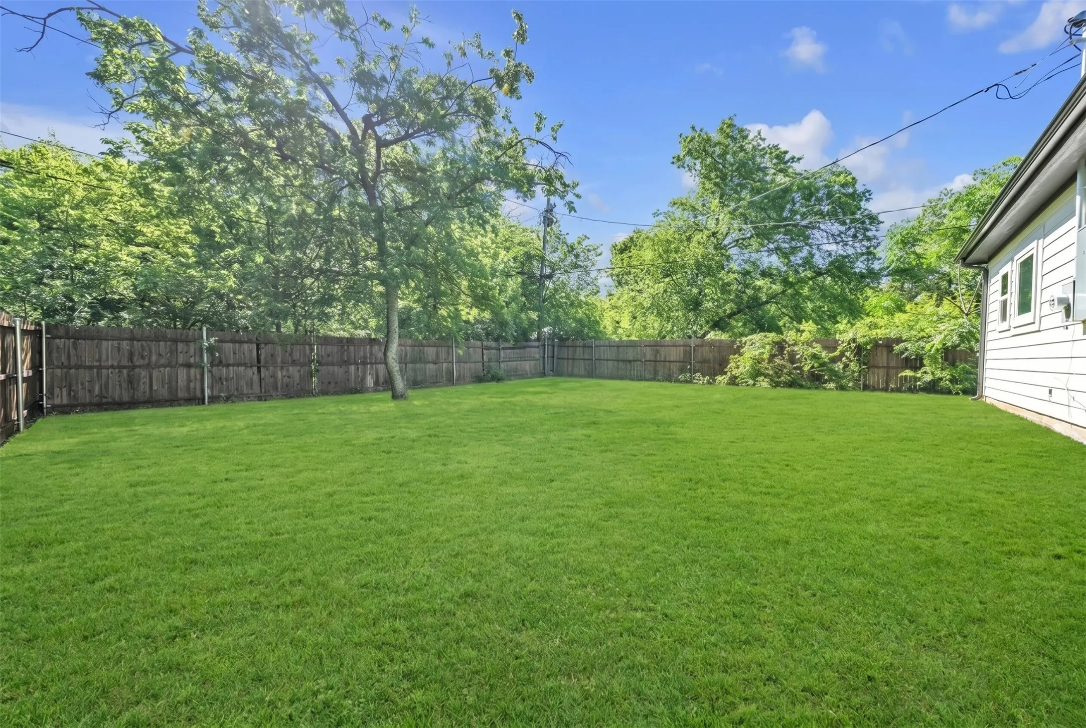 Expansive backyard featuring a lush lawn, mature shade tree, and privacy fencing