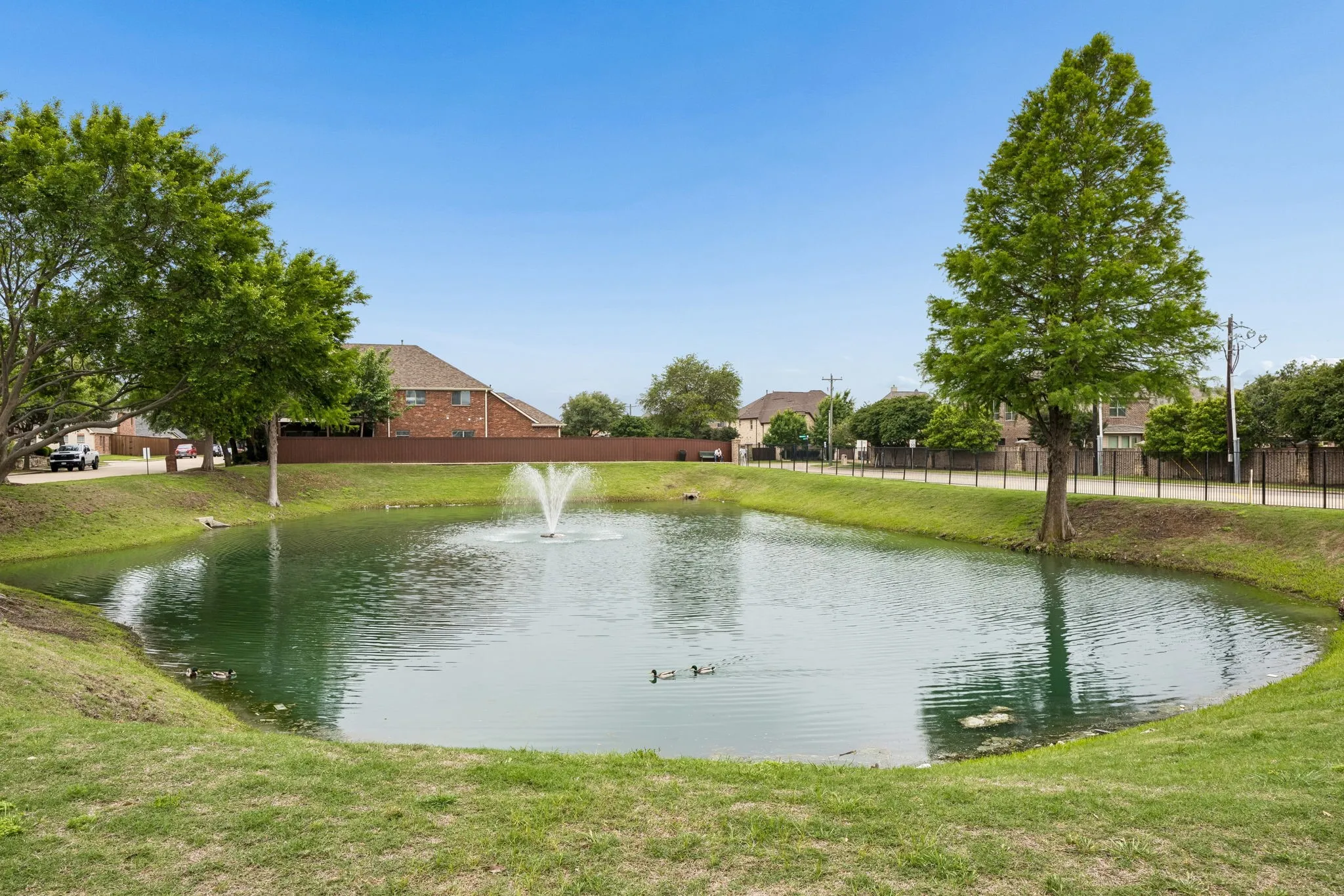 And literally, just steps away is this lovely pond with fountain and Ducks!