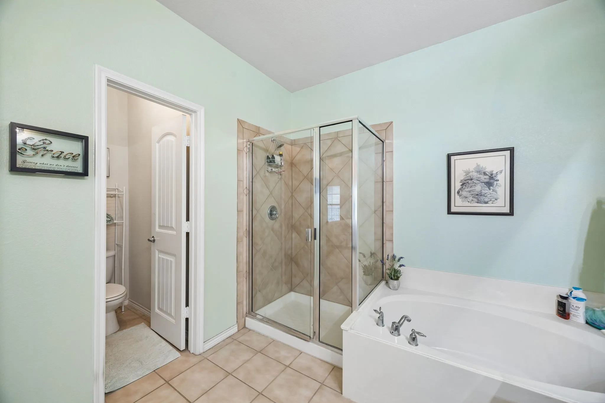 Love this view of the Primary Bath - spacious soaking tub, immaculate separate shower and serene paint choices!