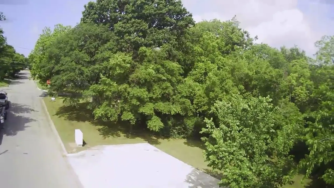 Aerial View from the side with driveway and large treed yard