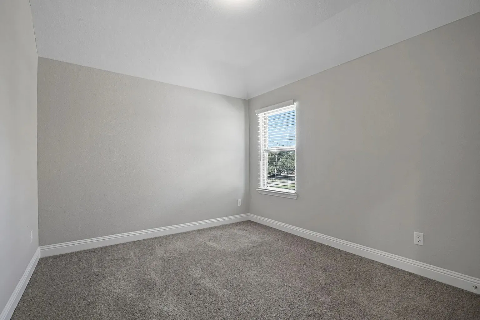 Carpeted room featuring a single window with blinds, light gray wall paint, and white baseboards