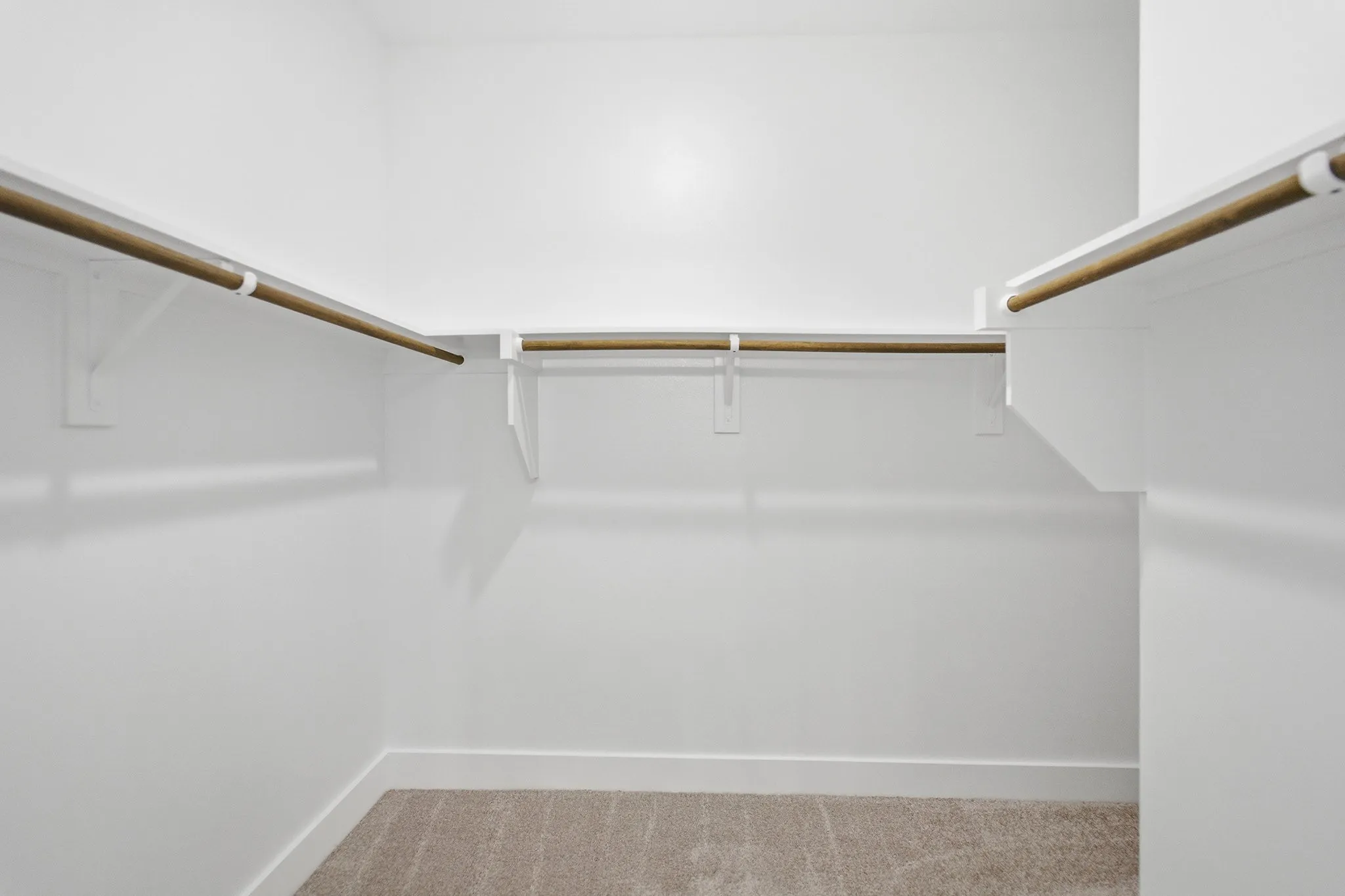 Spacious walk-in closet featuring white shelving with hanging rods and neutral-toned carpet flooring
