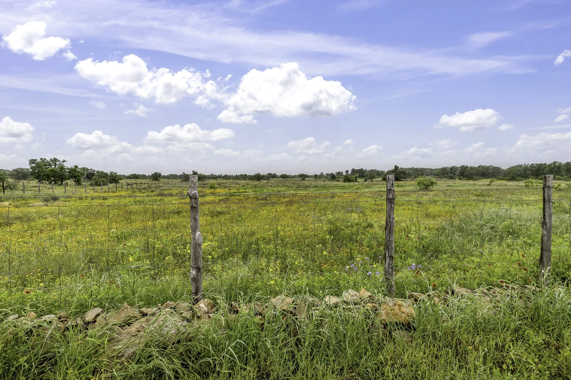 pasture