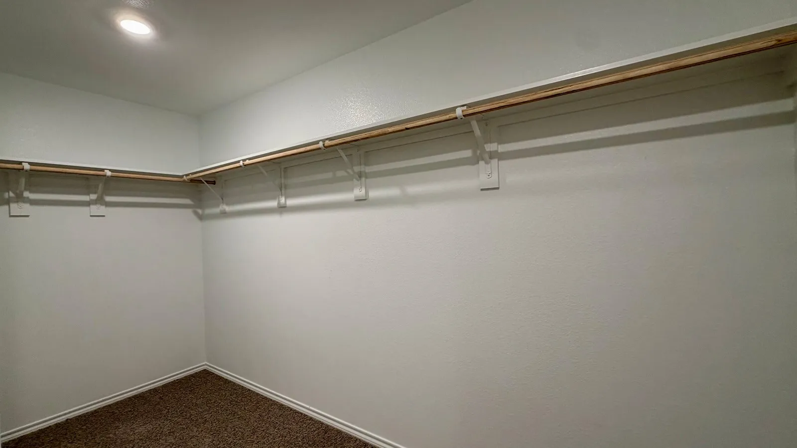 Spacious walk-in closet featuring light-colored walls, built-in shelving, hanging rods, recessed lighting, and carpet flooring