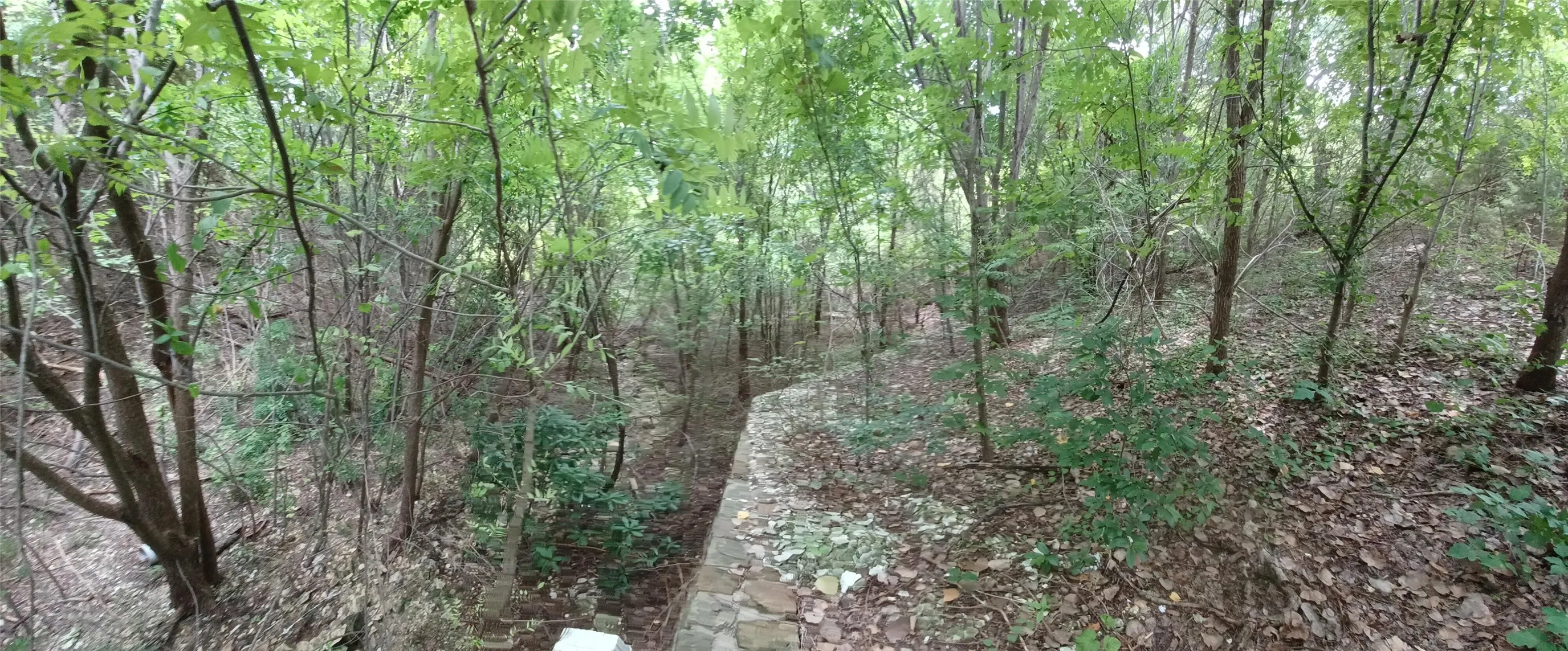 Unimproved Land For Sale in Dallas County , 934 Beverly Circle, Cedar Hill, Texas 75104, 0, 0, Garage spaces, 0 Sqft, built in 0, mls#21249626, Real Estate Agent in Cedar Hill, Homes For Sale in Dallas county, Homes For Sale in Cedar Hill, Realtor in Cedar Hill Texas, Real Estate Brokerage Independent Realty Texas, Luminita Cordes Realtor