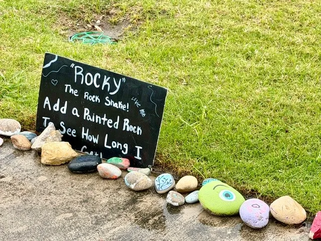 Community fun on painting rocks and adding it to the trail.