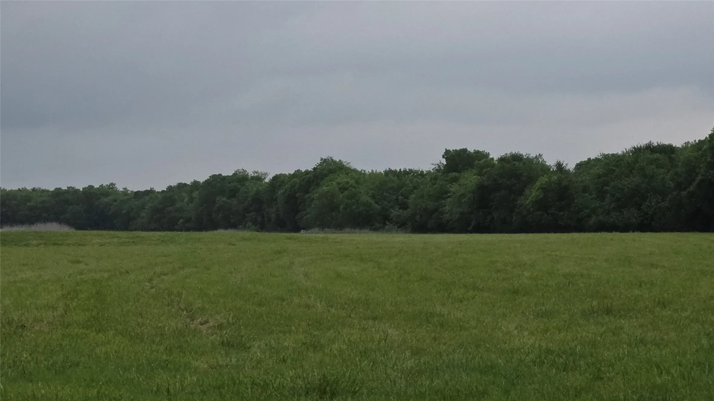 Expansive green field featuring mature tree line in the background