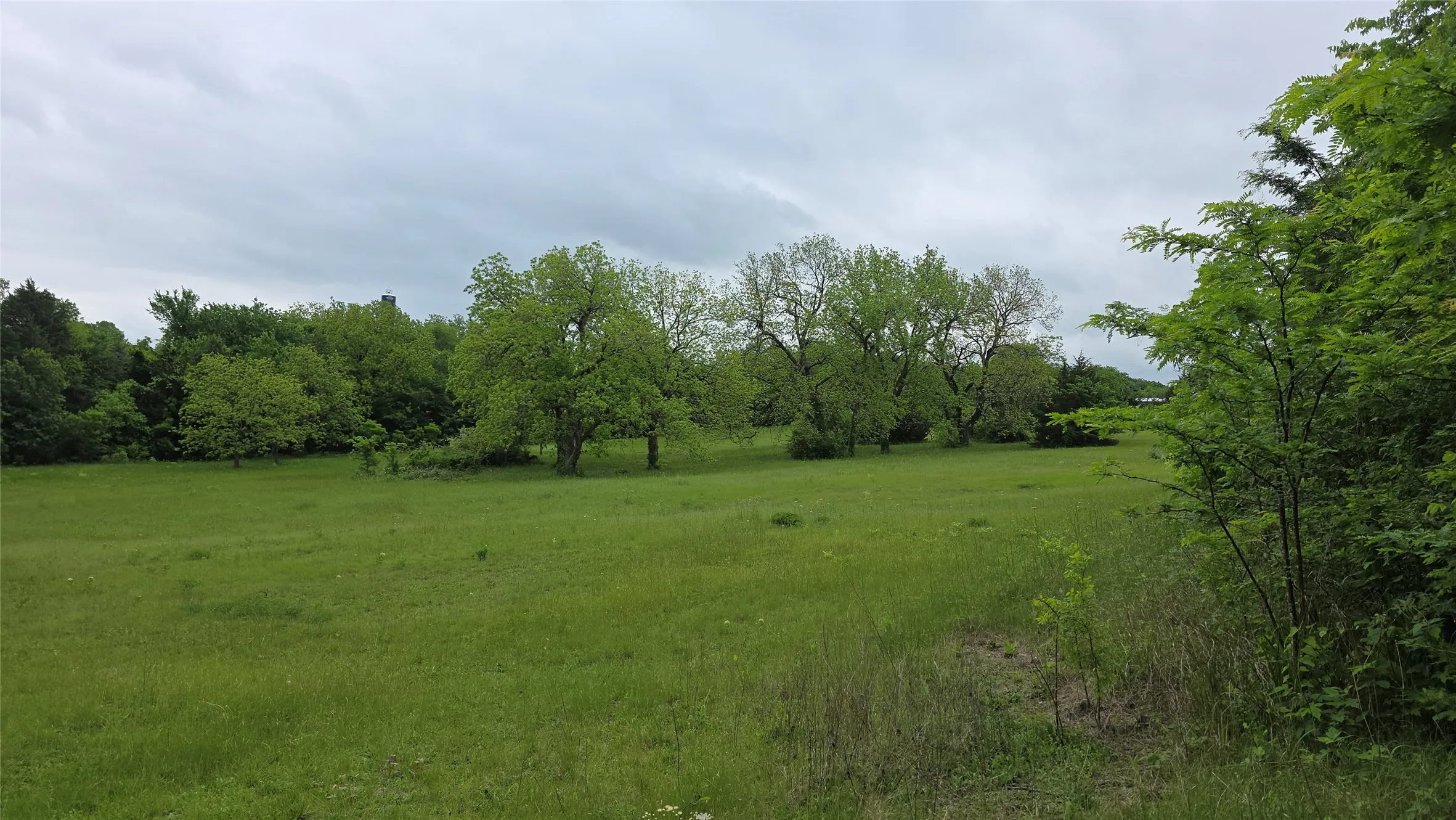 Unimproved Land For Sale in Fannin County , 0000 Fm 272, Celeste, Texas 75452, 0, 0, Garage spaces, 0 Sqft, built in 0, mls#21239014, Real Estate Agent in Celeste, Homes For Sale in Fannin county, Homes For Sale in Celeste, Realtor in Celeste Texas, Real Estate Brokerage Independent Realty Texas, Luminita Cordes Realtor