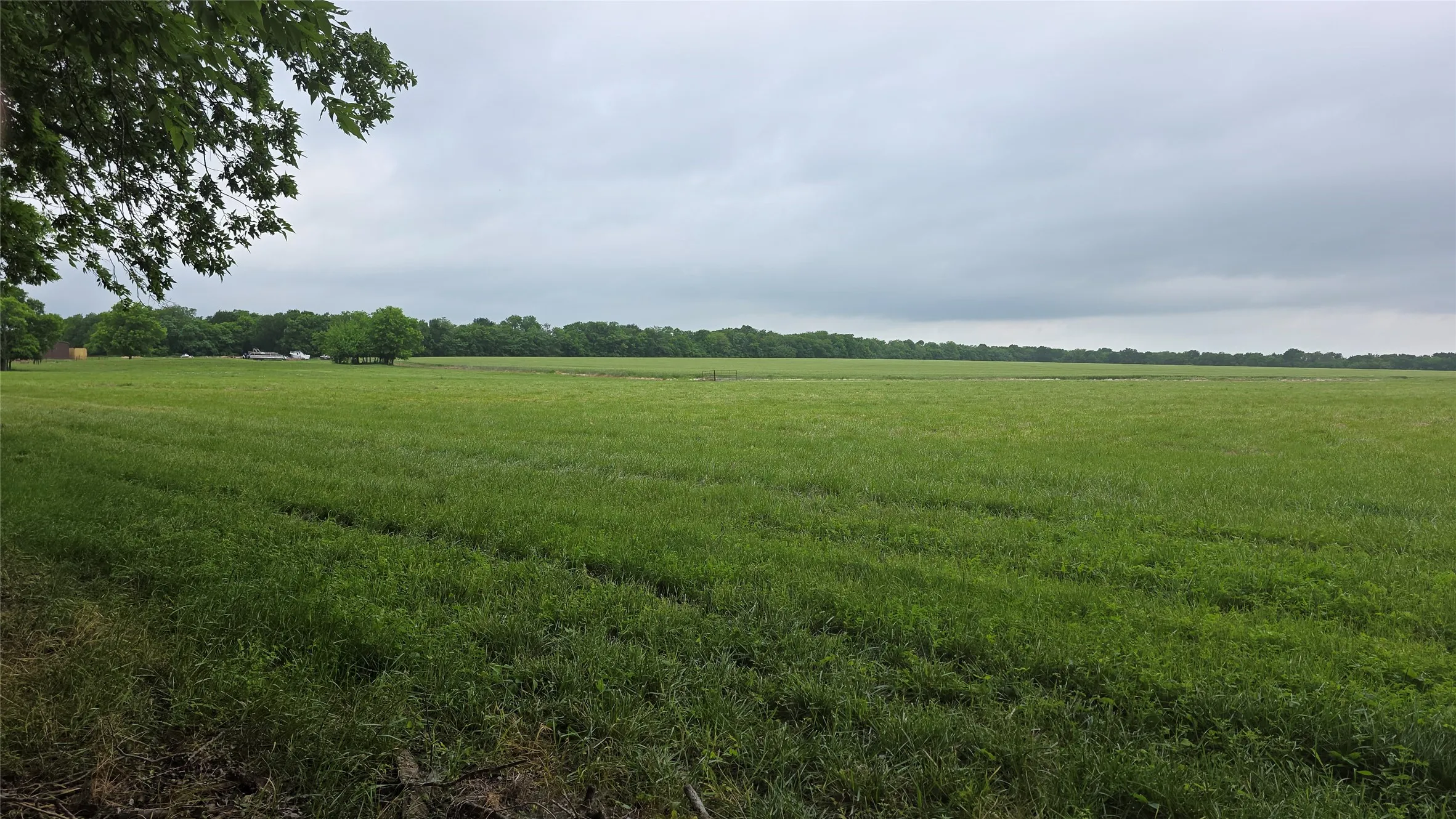 Expansive green field with a distant tree line under an overcast sky