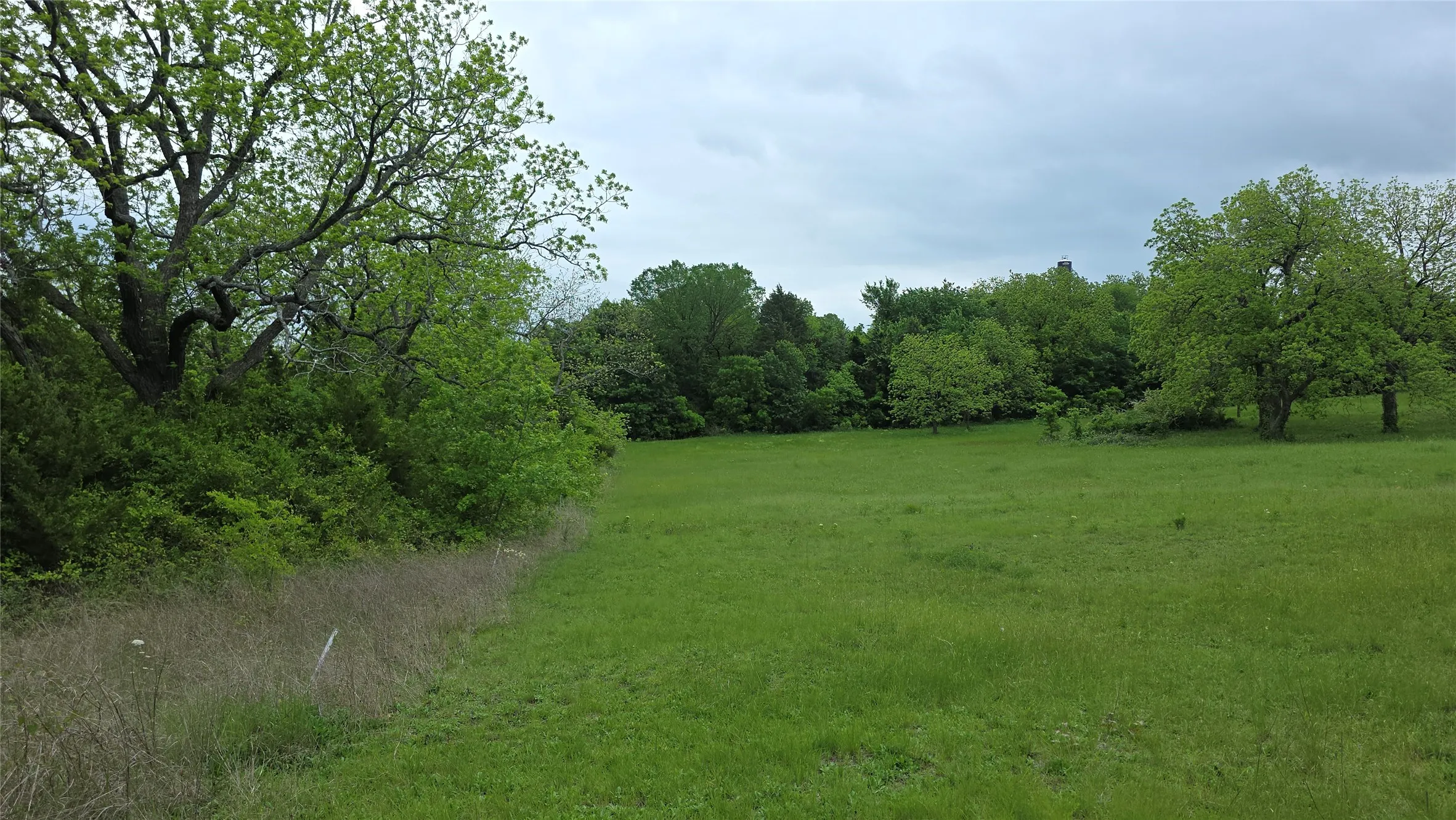 Expansive green field surrounded by mature deciduous trees and natural foliage