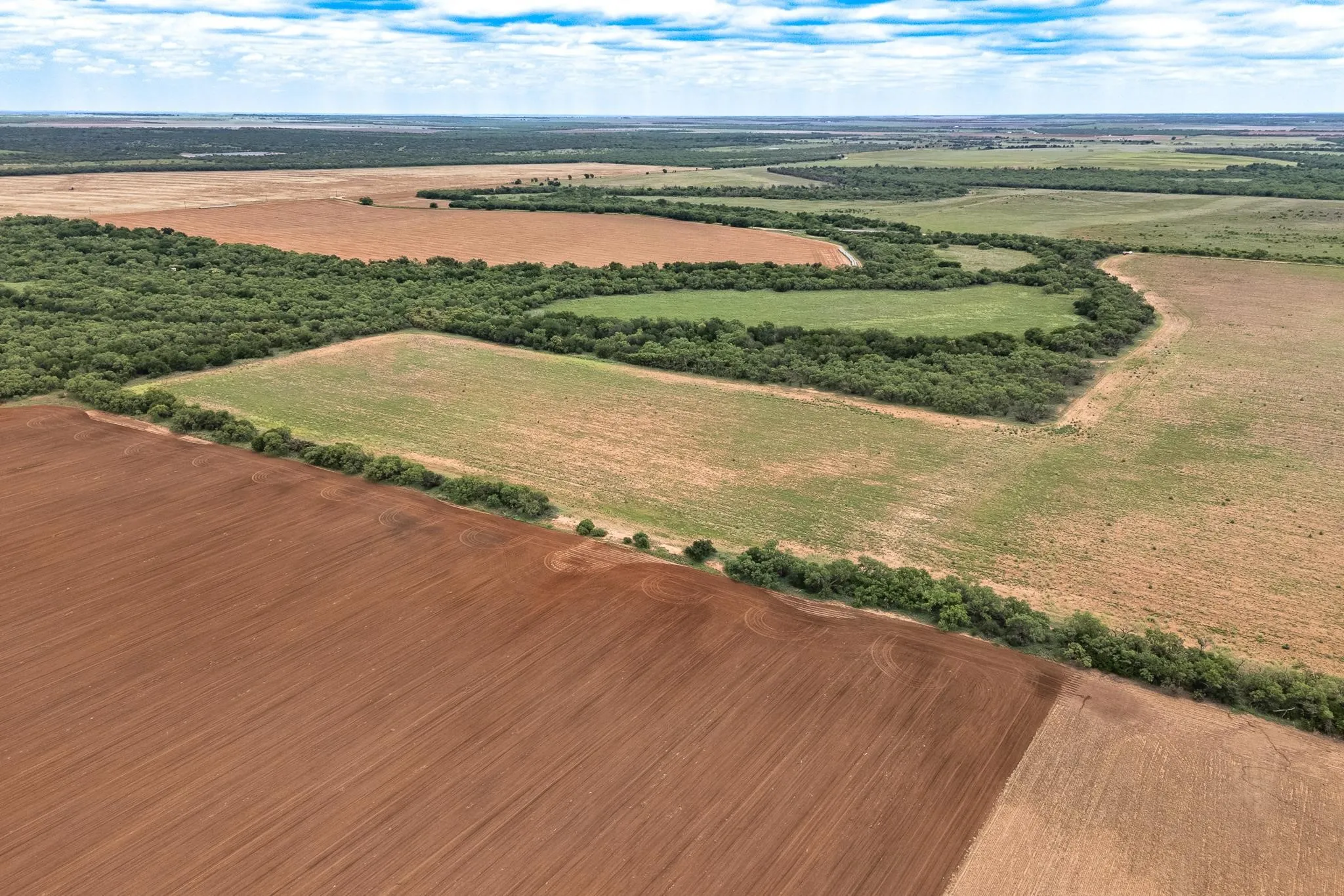 Improved Land For Sale in Jones County , TBD CR 429, Merkel, Texas 79536, 0, 0, Garage spaces, 0 Sqft, built in 0, Price $799,000, mls#21249167, Real Estate Agent in Merkel, Homes For Sale in Jones county, Homes For Sale in Merkel, Realtor in Merkel Texas, Real Estate Brokerage Independent Realty Texas, Luminita Cordes Realtor