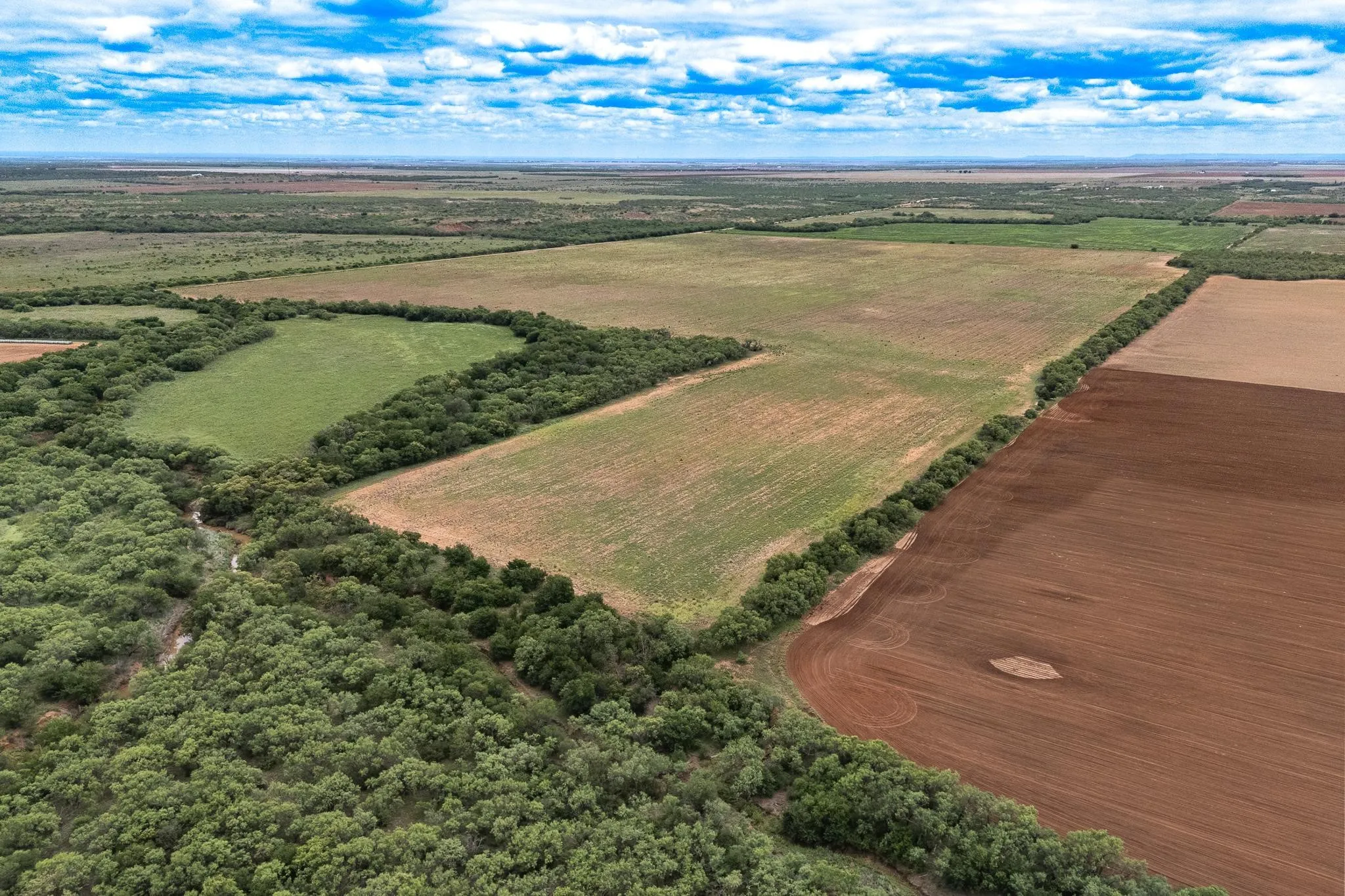 Improved Land For Sale in Jones County , TBD CR 429, Merkel, Texas 79536, 0, 0, Garage spaces, 0 Sqft, built in 0, Price $799,000, mls#21249167, Real Estate Agent in Merkel, Homes For Sale in Jones county, Homes For Sale in Merkel, Realtor in Merkel Texas, Real Estate Brokerage Independent Realty Texas, Luminita Cordes Realtor