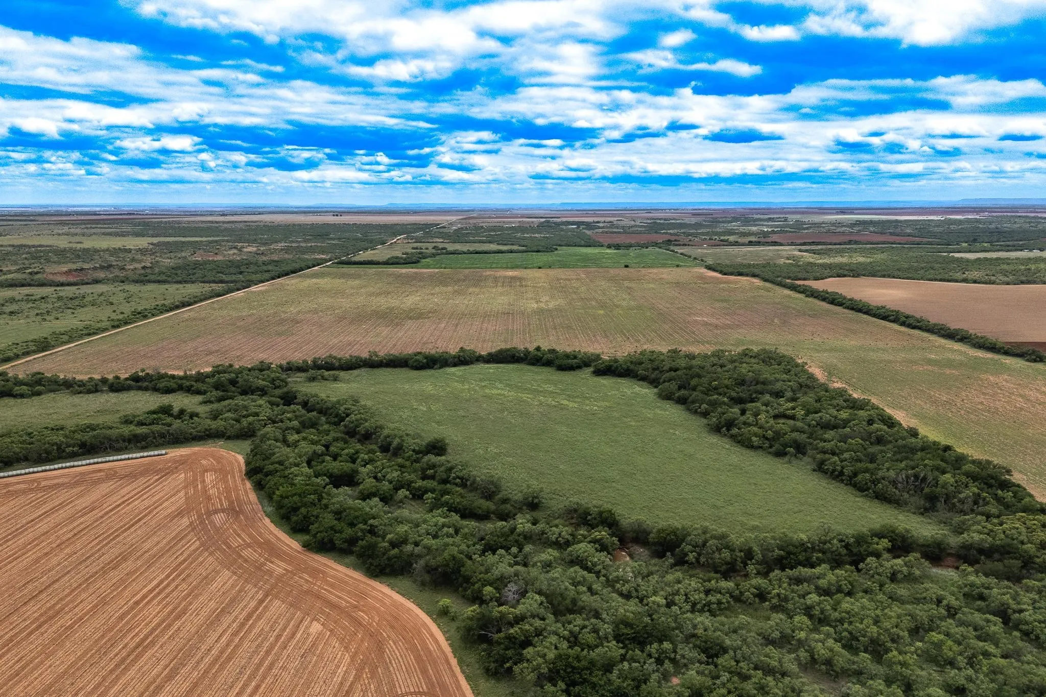 Improved Land For Sale in Jones County , TBD CR 429, Merkel, Texas 79536, 0, 0, Garage spaces, 0 Sqft, built in 0, Price $799,000, mls#21249167, Real Estate Agent in Merkel, Homes For Sale in Jones county, Homes For Sale in Merkel, Realtor in Merkel Texas, Real Estate Brokerage Independent Realty Texas, Luminita Cordes Realtor