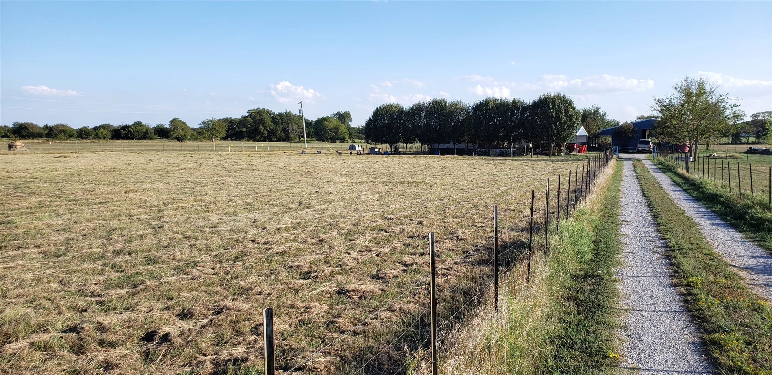 Extensive open field with established perimeter fencing, a gravel driveway, and mature trees lining the property