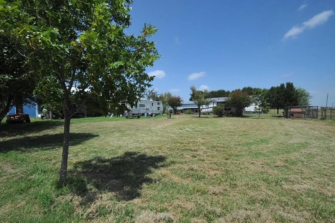 Expansive green space featuring scattered mature trees and open sky
