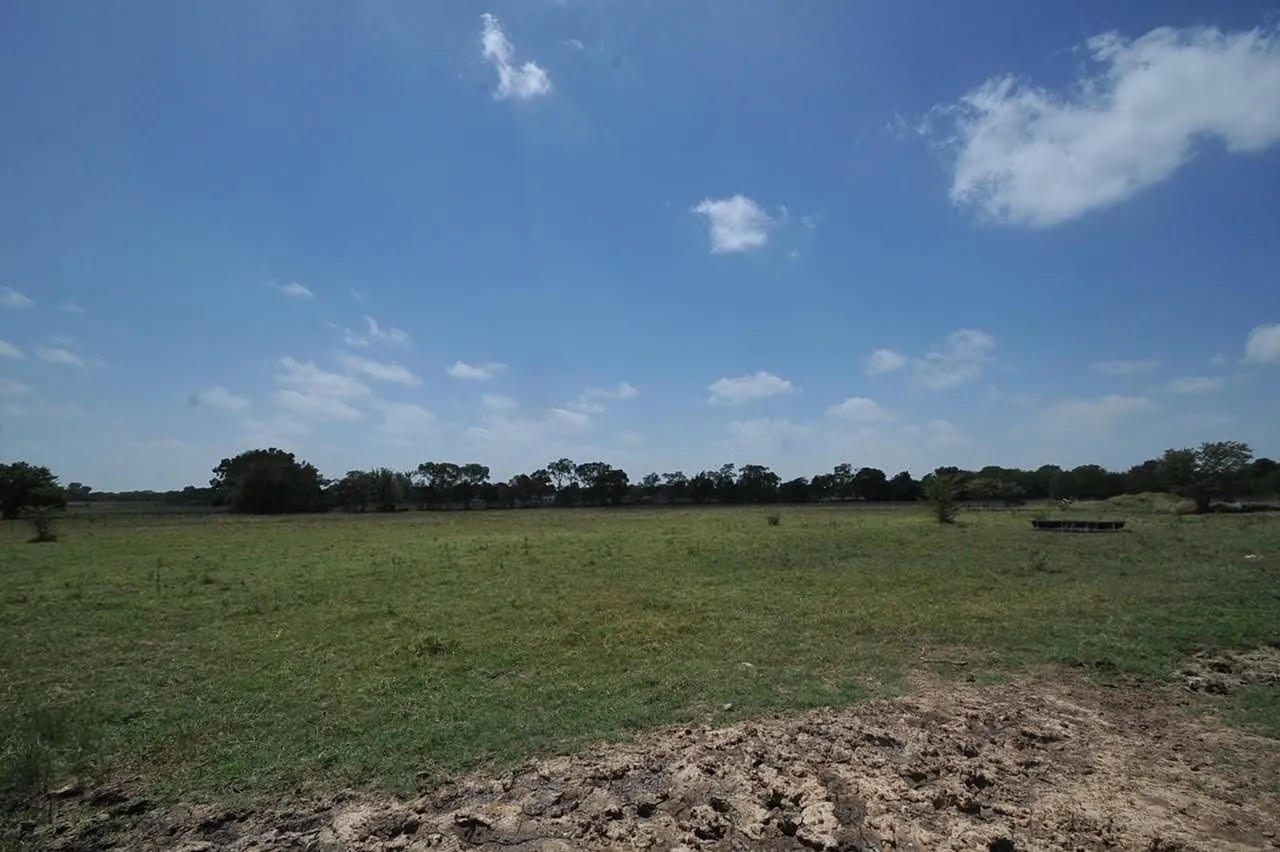 Expansive green pasture with a tree line horizon under a clear sky