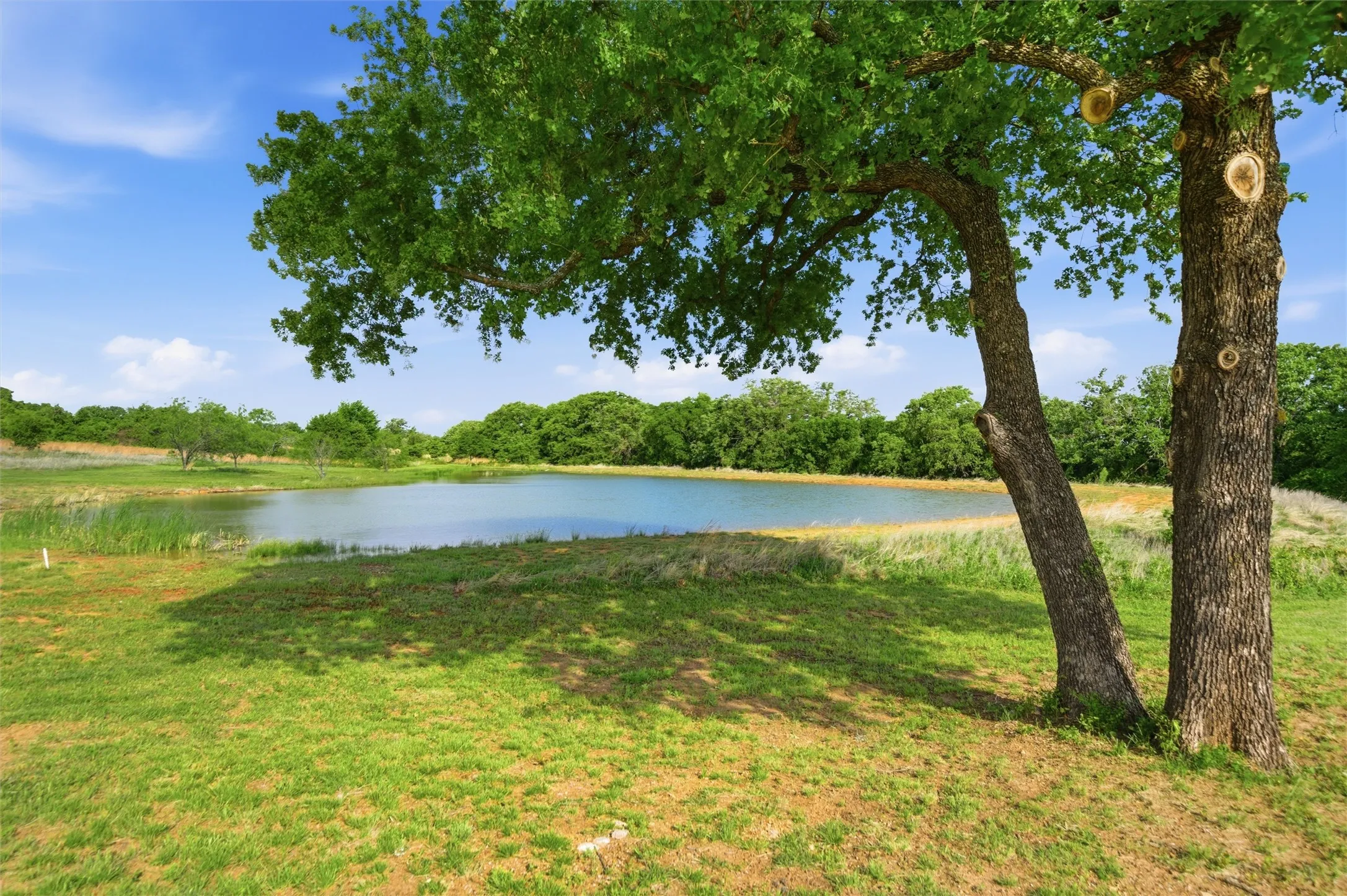 Single Family Residence For Sale in Parker County , 1899 Old Agnes Road, Weatherford, Texas 76088, 5 Bedroom, 5 Bathroom, 3 Garage spaces, 4,900 Sqft, built in 2022, Preowned, mls#21248460, Real Estate Agent in Weatherford, Homes For Sale in Parker county, Homes For Sale in Weatherford, Realtor in Weatherford Texas, Real Estate Brokerage Independent Realty Texas, Luminita Cordes Realtor