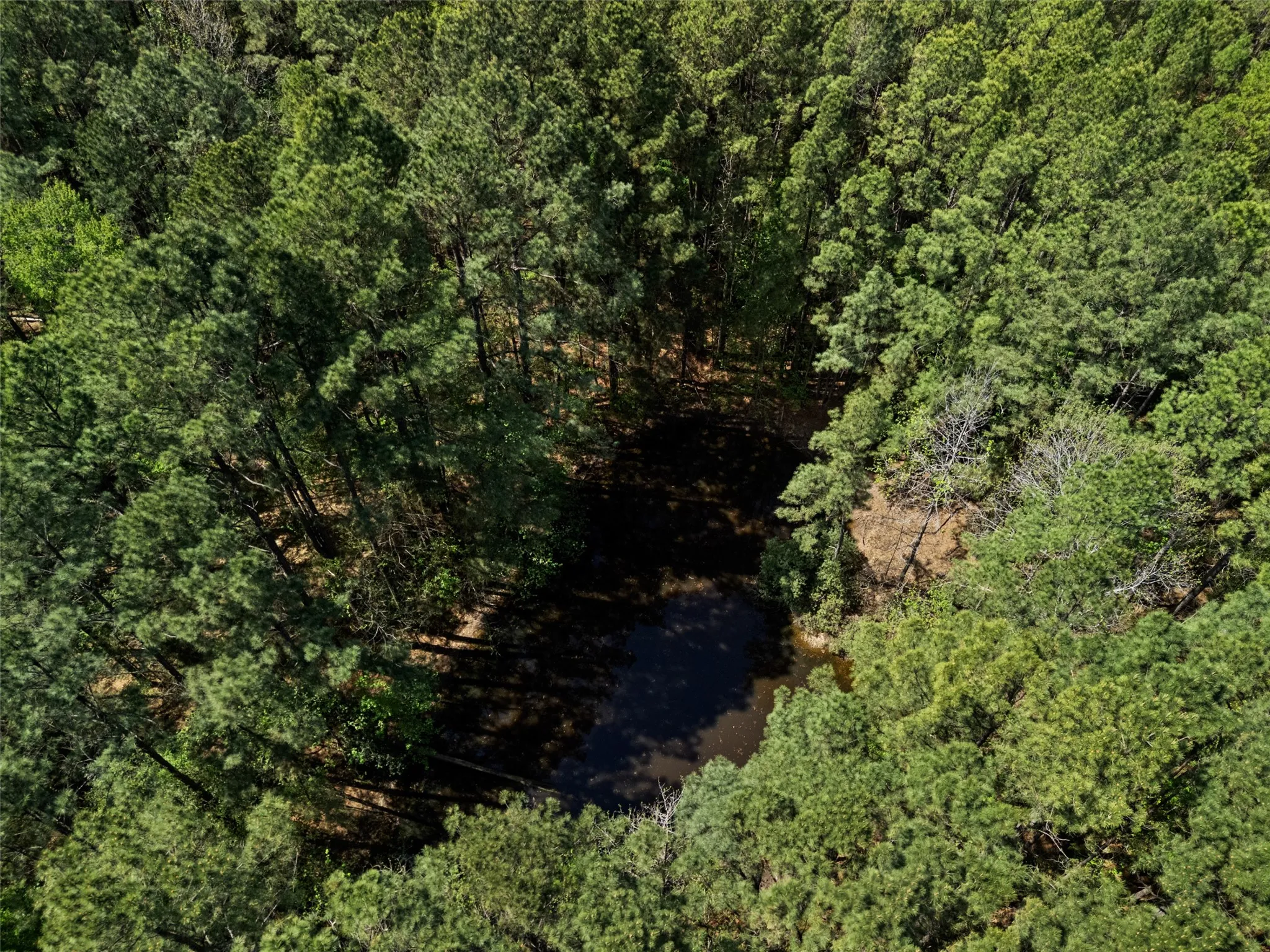 Improved Land For Sale in Gregg County , 3327 FM 2751, Longview, Texas 75605, 0, 0, Garage spaces, 0 Sqft, built in 0, mls#21249793, Real Estate Agent in Longview, Homes For Sale in Gregg county, Homes For Sale in Longview, Realtor in Longview Texas, Real Estate Brokerage Independent Realty Texas, Luminita Cordes Realtor