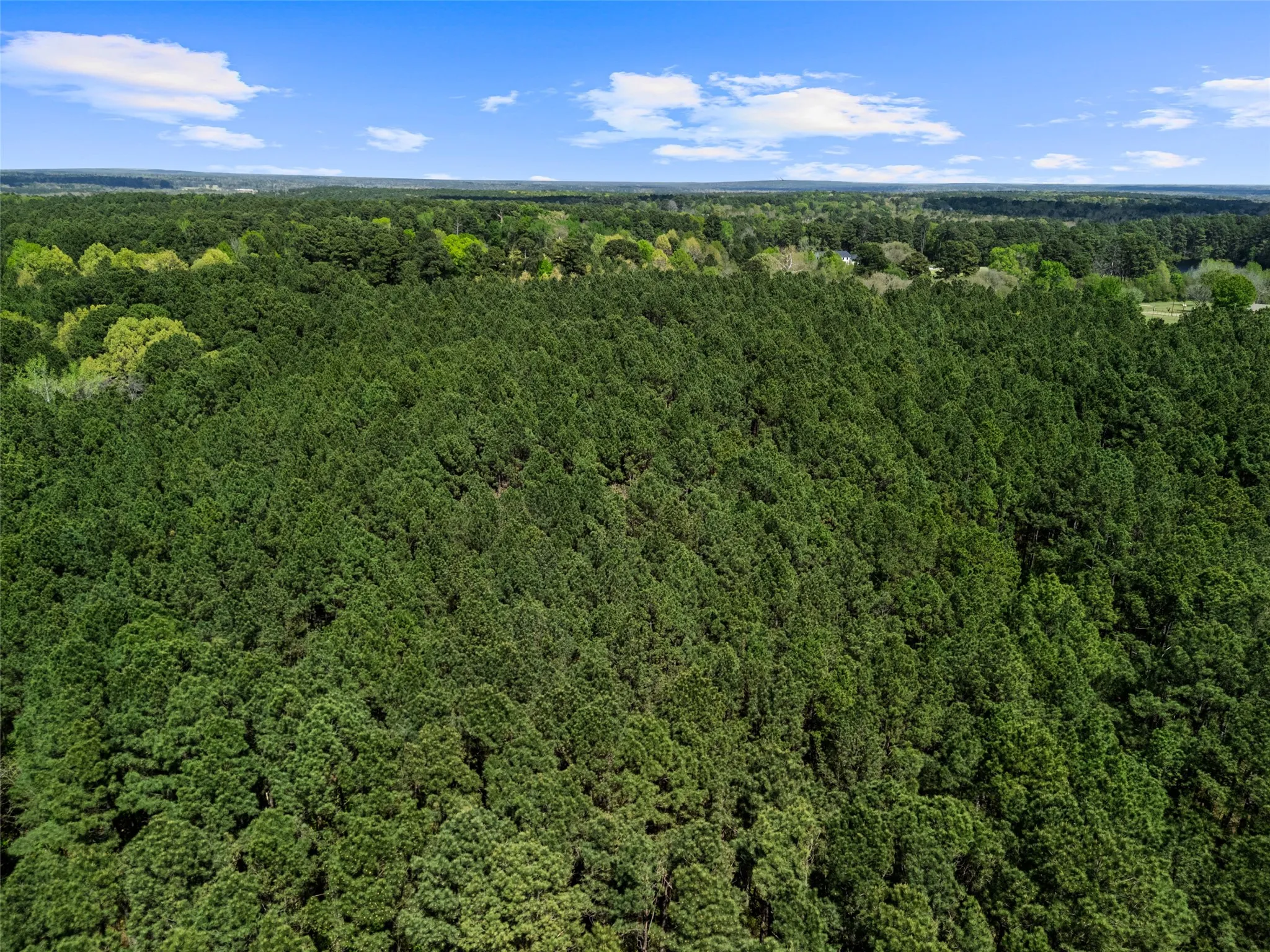 Improved Land For Sale in Gregg County , 3327 FM 2751, Longview, Texas 75605, 0, 0, Garage spaces, 0 Sqft, built in 0, mls#21249793, Real Estate Agent in Longview, Homes For Sale in Gregg county, Homes For Sale in Longview, Realtor in Longview Texas, Real Estate Brokerage Independent Realty Texas, Luminita Cordes Realtor