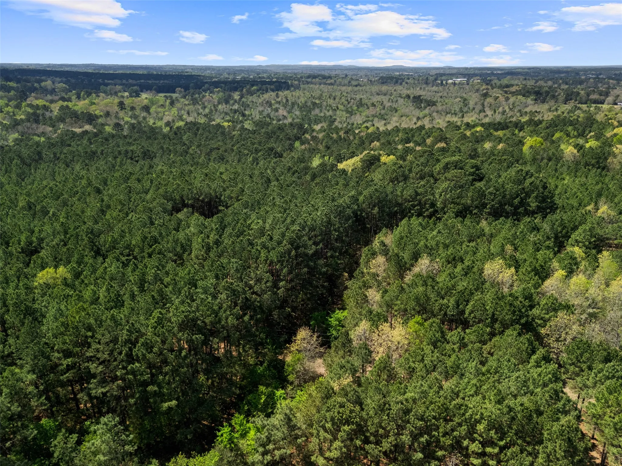 Improved Land For Sale in Gregg County , 3327 FM 2751, Longview, Texas 75605, 0, 0, Garage spaces, 0 Sqft, built in 0, mls#21249793, Real Estate Agent in Longview, Homes For Sale in Gregg county, Homes For Sale in Longview, Realtor in Longview Texas, Real Estate Brokerage Independent Realty Texas, Luminita Cordes Realtor
