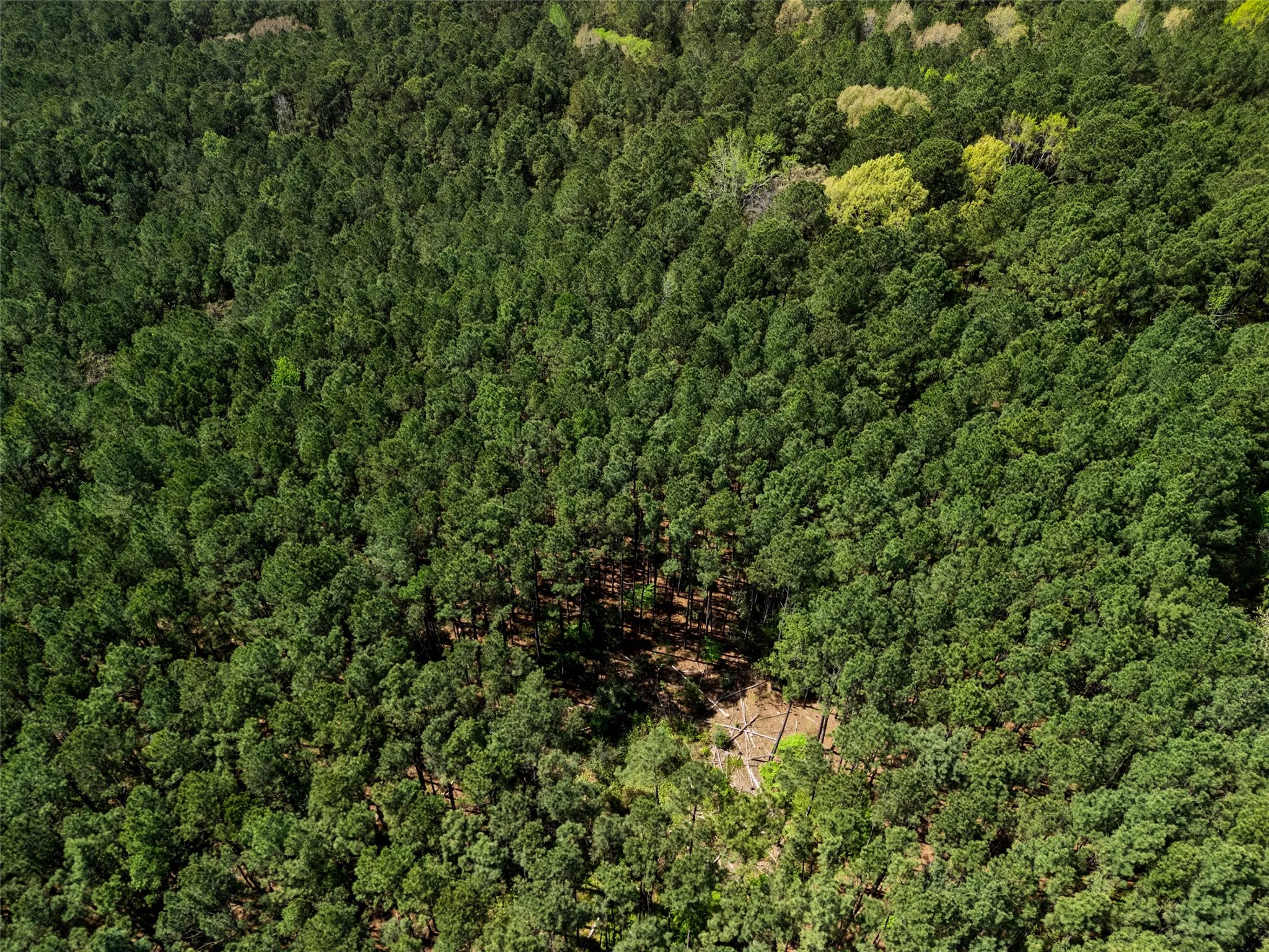 Improved Land For Sale in Gregg County , 3327 FM 2751, Longview, Texas 75605, 0, 0, Garage spaces, 0 Sqft, built in 0, mls#21249793, Real Estate Agent in Longview, Homes For Sale in Gregg county, Homes For Sale in Longview, Realtor in Longview Texas, Real Estate Brokerage Independent Realty Texas, Luminita Cordes Realtor