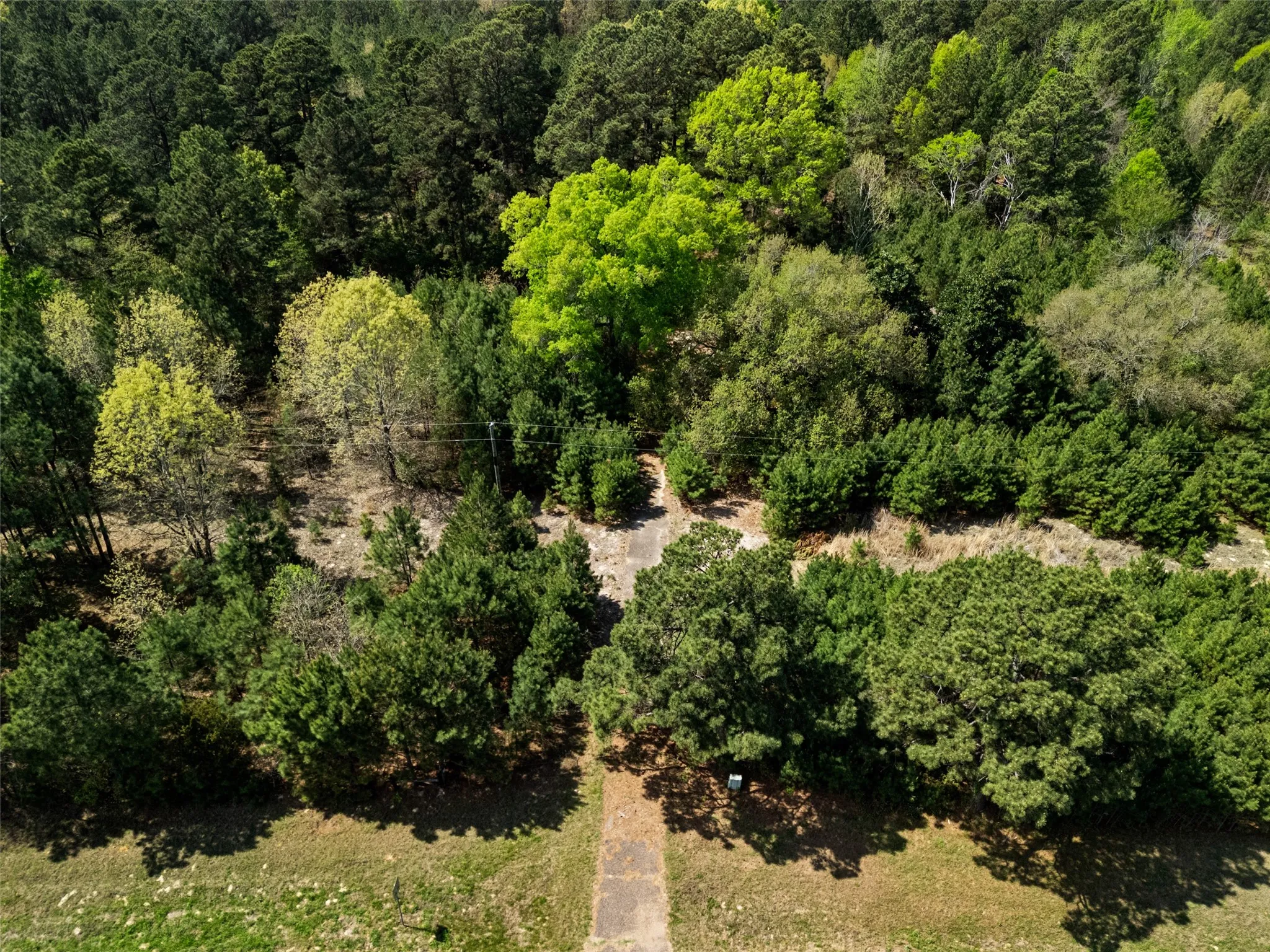 Improved Land For Sale in Gregg County , 3327 FM 2751, Longview, Texas 75605, 0, 0, Garage spaces, 0 Sqft, built in 0, mls#21249793, Real Estate Agent in Longview, Homes For Sale in Gregg county, Homes For Sale in Longview, Realtor in Longview Texas, Real Estate Brokerage Independent Realty Texas, Luminita Cordes Realtor