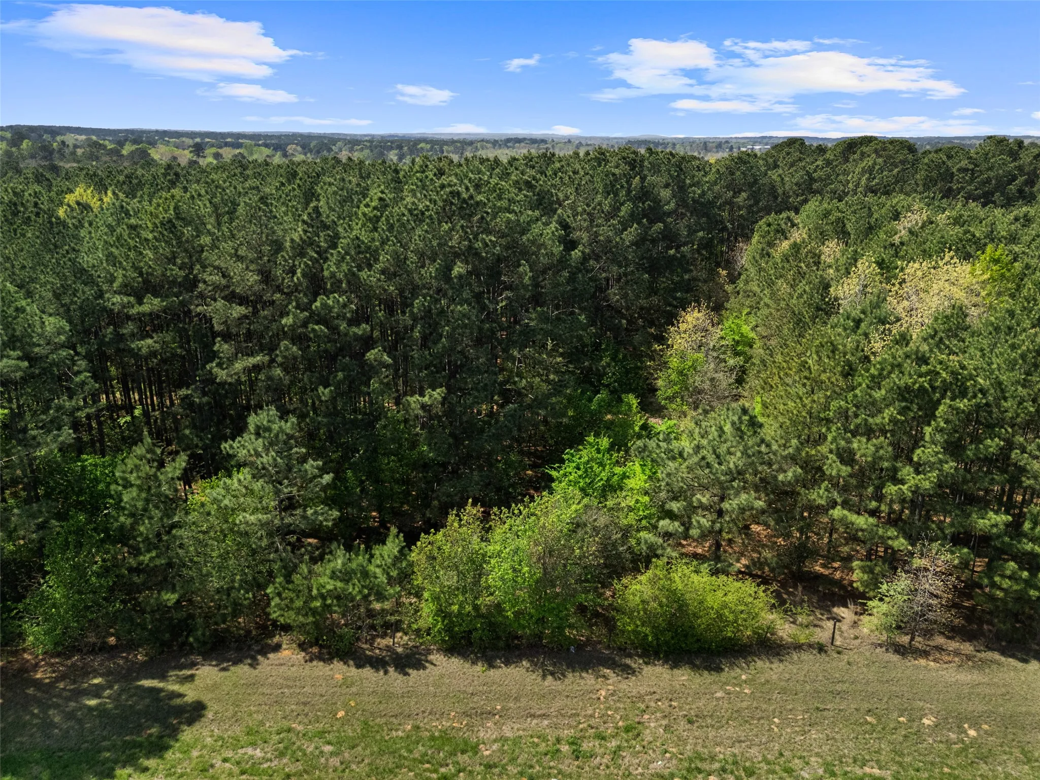 Improved Land For Sale in Gregg County , 3327 FM 2751, Longview, Texas 75605, 0, 0, Garage spaces, 0 Sqft, built in 0, mls#21249793, Real Estate Agent in Longview, Homes For Sale in Gregg county, Homes For Sale in Longview, Realtor in Longview Texas, Real Estate Brokerage Independent Realty Texas, Luminita Cordes Realtor