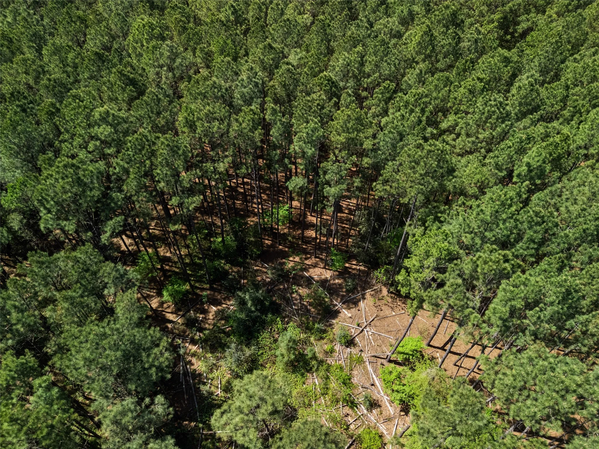 Improved Land For Sale in Gregg County , 3327 FM 2751, Longview, Texas 75605, 0, 0, Garage spaces, 0 Sqft, built in 0, mls#21249793, Real Estate Agent in Longview, Homes For Sale in Gregg county, Homes For Sale in Longview, Realtor in Longview Texas, Real Estate Brokerage Independent Realty Texas, Luminita Cordes Realtor