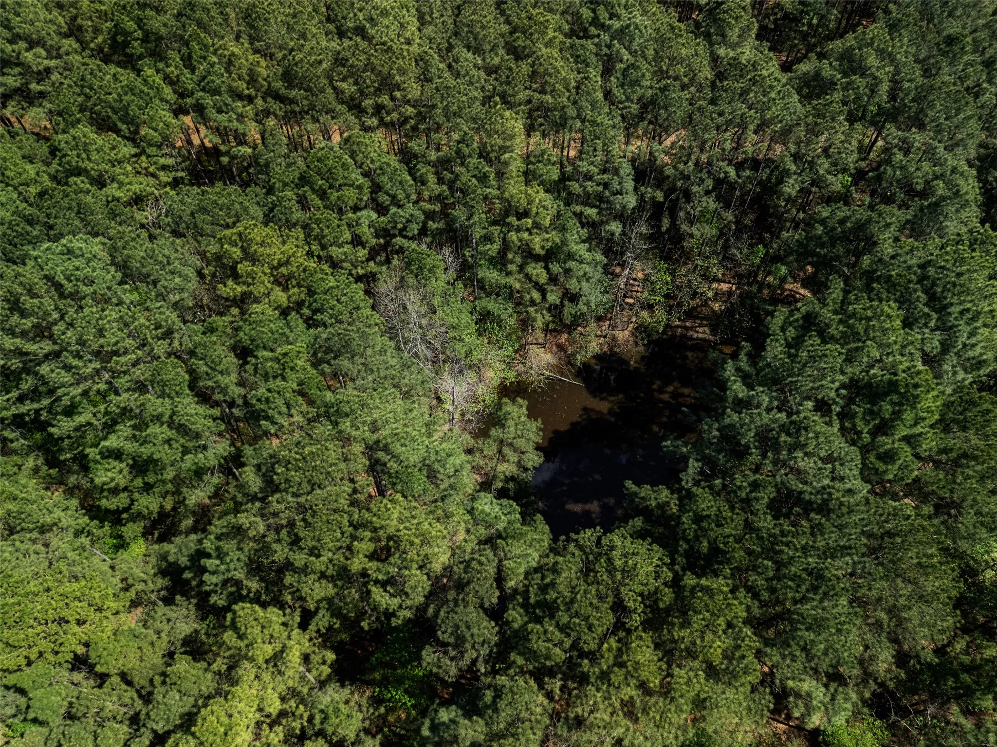 Improved Land For Sale in Gregg County , 3327 FM 2751, Longview, Texas 75605, 0, 0, Garage spaces, 0 Sqft, built in 0, mls#21249793, Real Estate Agent in Longview, Homes For Sale in Gregg county, Homes For Sale in Longview, Realtor in Longview Texas, Real Estate Brokerage Independent Realty Texas, Luminita Cordes Realtor
