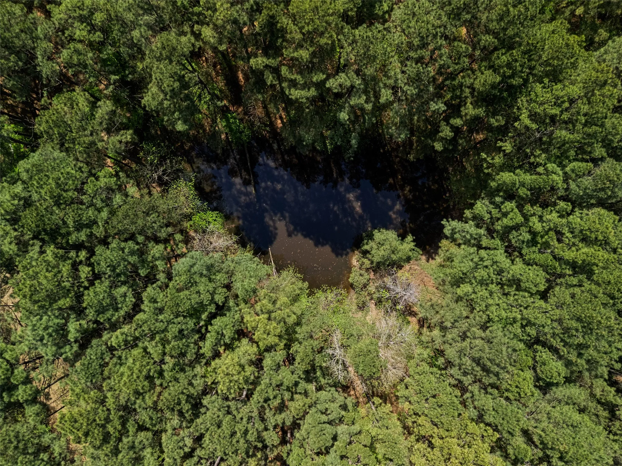Improved Land For Sale in Gregg County , 3327 FM 2751, Longview, Texas 75605, 0, 0, Garage spaces, 0 Sqft, built in 0, mls#21249793, Real Estate Agent in Longview, Homes For Sale in Gregg county, Homes For Sale in Longview, Realtor in Longview Texas, Real Estate Brokerage Independent Realty Texas, Luminita Cordes Realtor