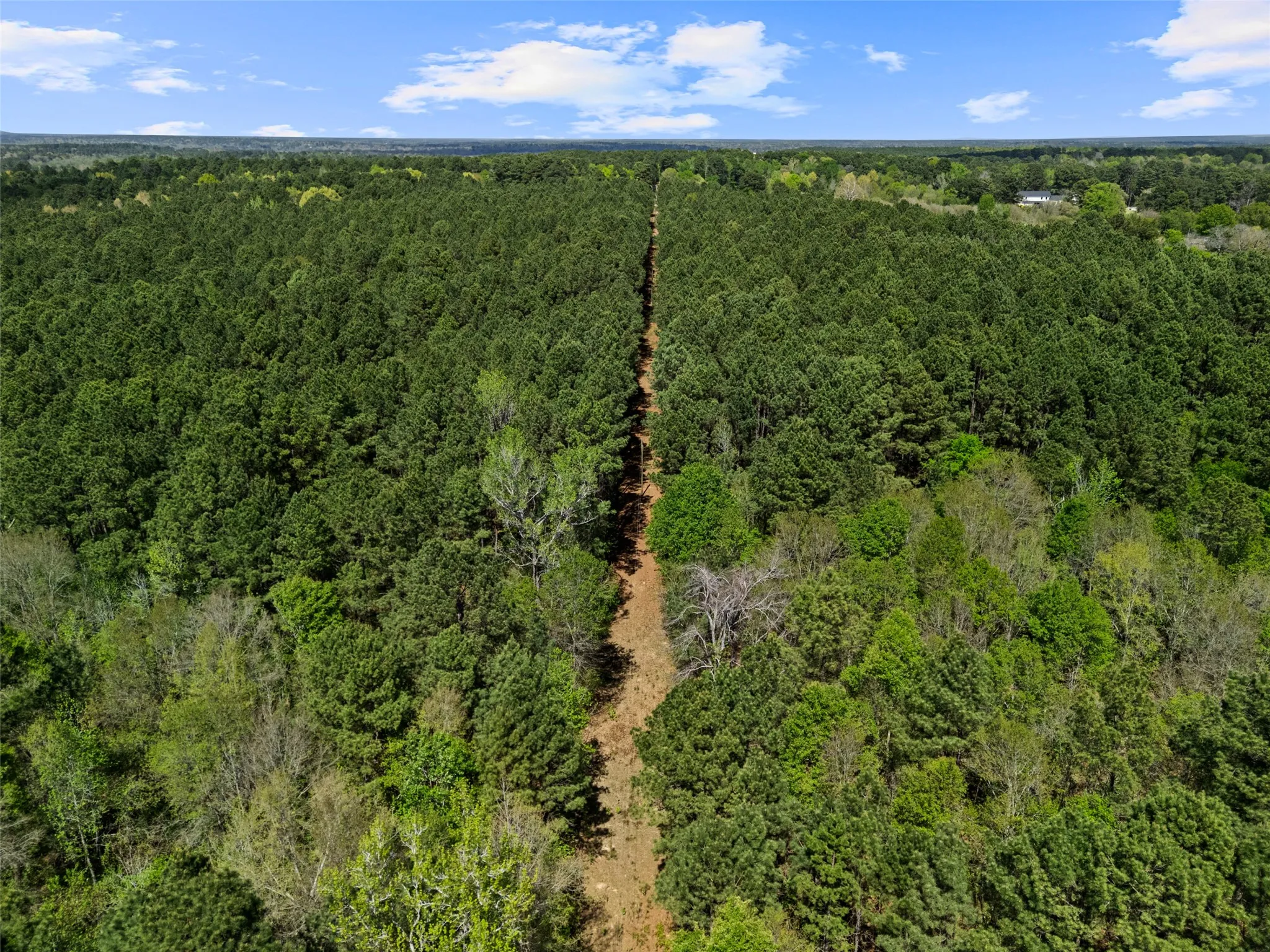 Improved Land For Sale in Gregg County , 3327 FM 2751, Longview, Texas 75605, 0, 0, Garage spaces, 0 Sqft, built in 0, mls#21249793, Real Estate Agent in Longview, Homes For Sale in Gregg county, Homes For Sale in Longview, Realtor in Longview Texas, Real Estate Brokerage Independent Realty Texas, Luminita Cordes Realtor