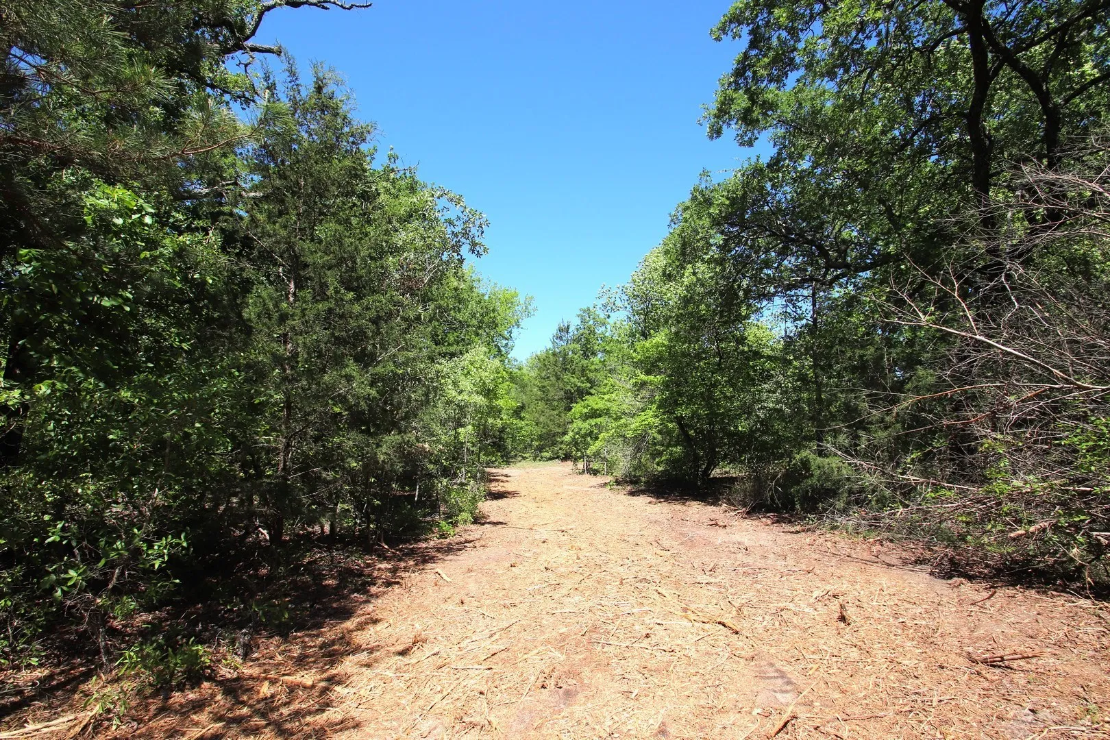 Unimproved Land For Sale in Wood County , TBD CR 4552, Winnsboro, Texas 75494, 0, 0, Garage spaces, 0 Sqft, built in 0, mls#21242821, Real Estate Agent in Winnsboro, Homes For Sale in Wood county, Homes For Sale in Winnsboro, Realtor in Winnsboro Texas, Real Estate Brokerage Independent Realty Texas, Luminita Cordes Realtor