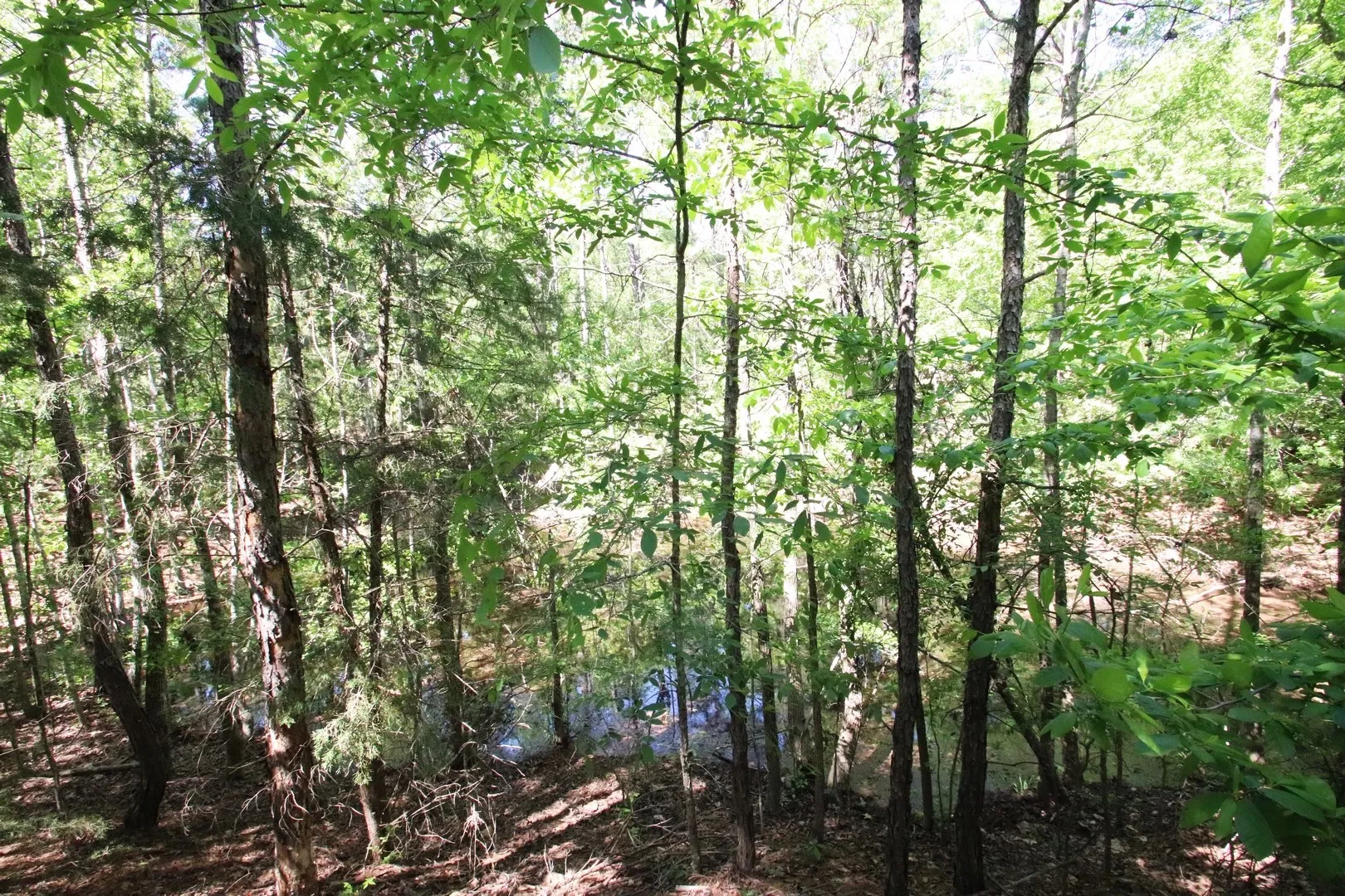 Unimproved Land For Sale in Wood County , TBD CR 4552, Winnsboro, Texas 75494, 0, 0, Garage spaces, 0 Sqft, built in 0, mls#21242821, Real Estate Agent in Winnsboro, Homes For Sale in Wood county, Homes For Sale in Winnsboro, Realtor in Winnsboro Texas, Real Estate Brokerage Independent Realty Texas, Luminita Cordes Realtor