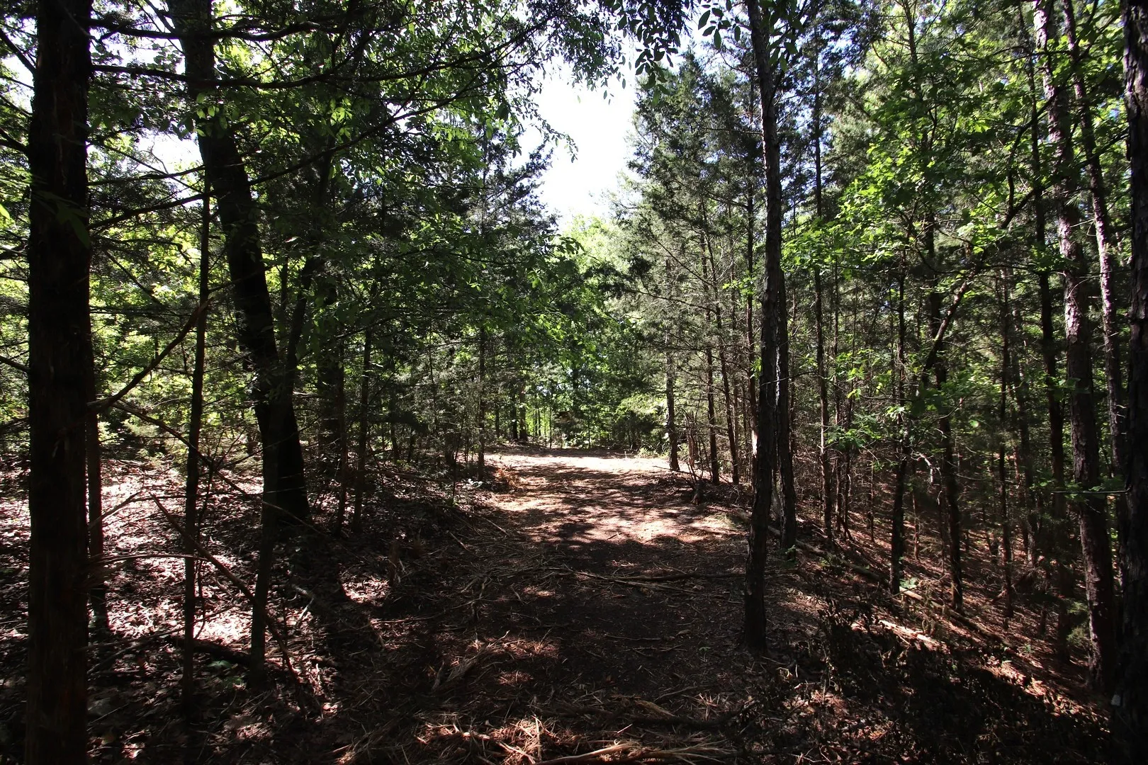 Unimproved Land For Sale in Wood County , TBD CR 4552, Winnsboro, Texas 75494, 0, 0, Garage spaces, 0 Sqft, built in 0, mls#21242821, Real Estate Agent in Winnsboro, Homes For Sale in Wood county, Homes For Sale in Winnsboro, Realtor in Winnsboro Texas, Real Estate Brokerage Independent Realty Texas, Luminita Cordes Realtor