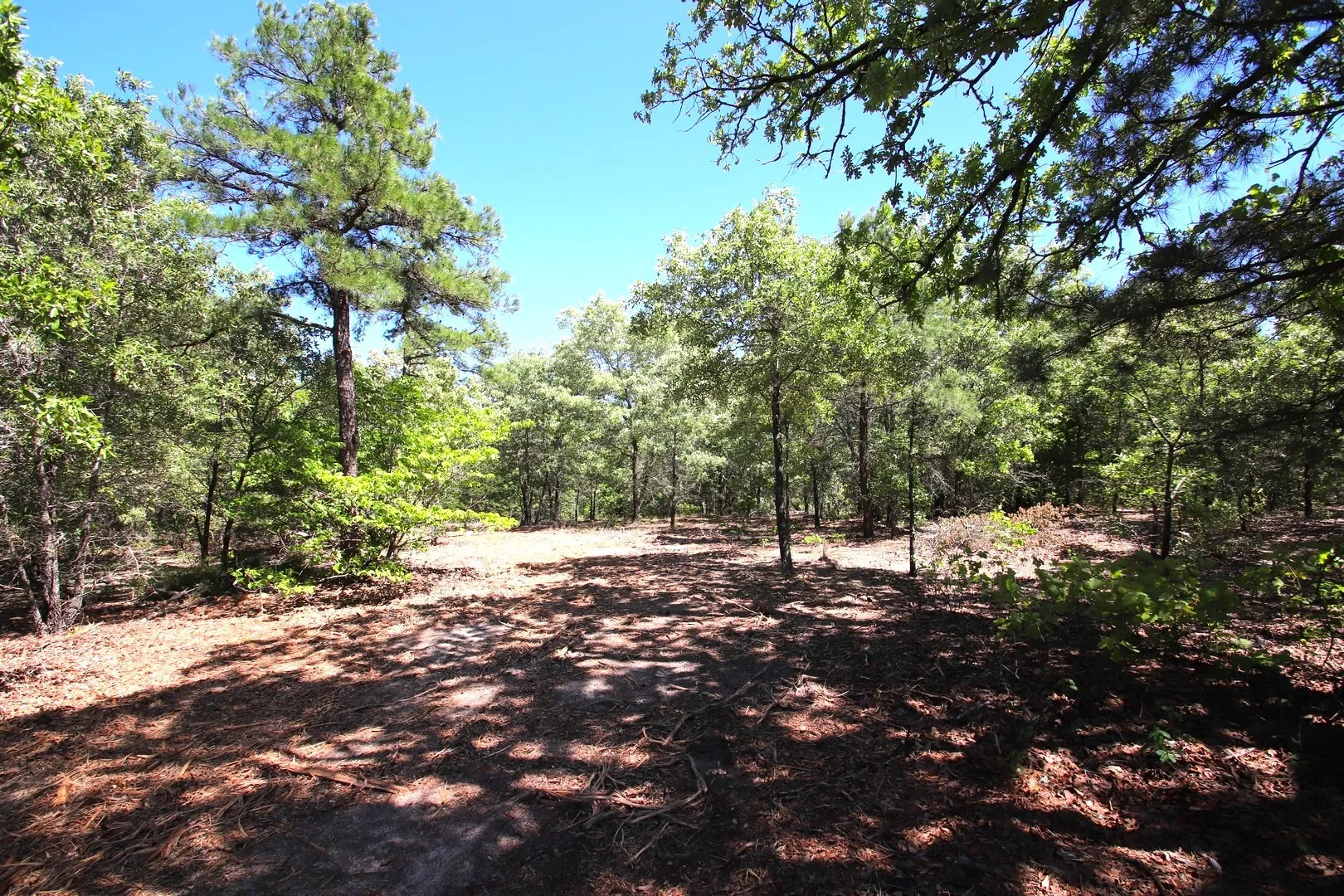Unimproved Land For Sale in Wood County , TBD CR 4552, Winnsboro, Texas 75494, 0, 0, Garage spaces, 0 Sqft, built in 0, mls#21242821, Real Estate Agent in Winnsboro, Homes For Sale in Wood county, Homes For Sale in Winnsboro, Realtor in Winnsboro Texas, Real Estate Brokerage Independent Realty Texas, Luminita Cordes Realtor