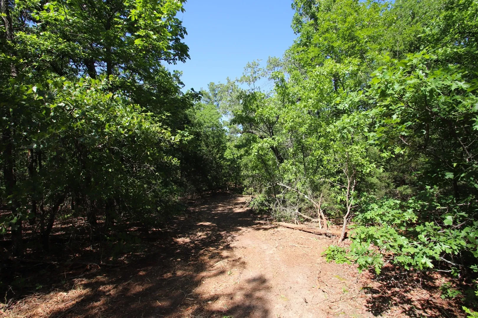 Unimproved Land For Sale in Wood County , TBD CR 4552, Winnsboro, Texas 75494, 0, 0, Garage spaces, 0 Sqft, built in 0, mls#21242821, Real Estate Agent in Winnsboro, Homes For Sale in Wood county, Homes For Sale in Winnsboro, Realtor in Winnsboro Texas, Real Estate Brokerage Independent Realty Texas, Luminita Cordes Realtor