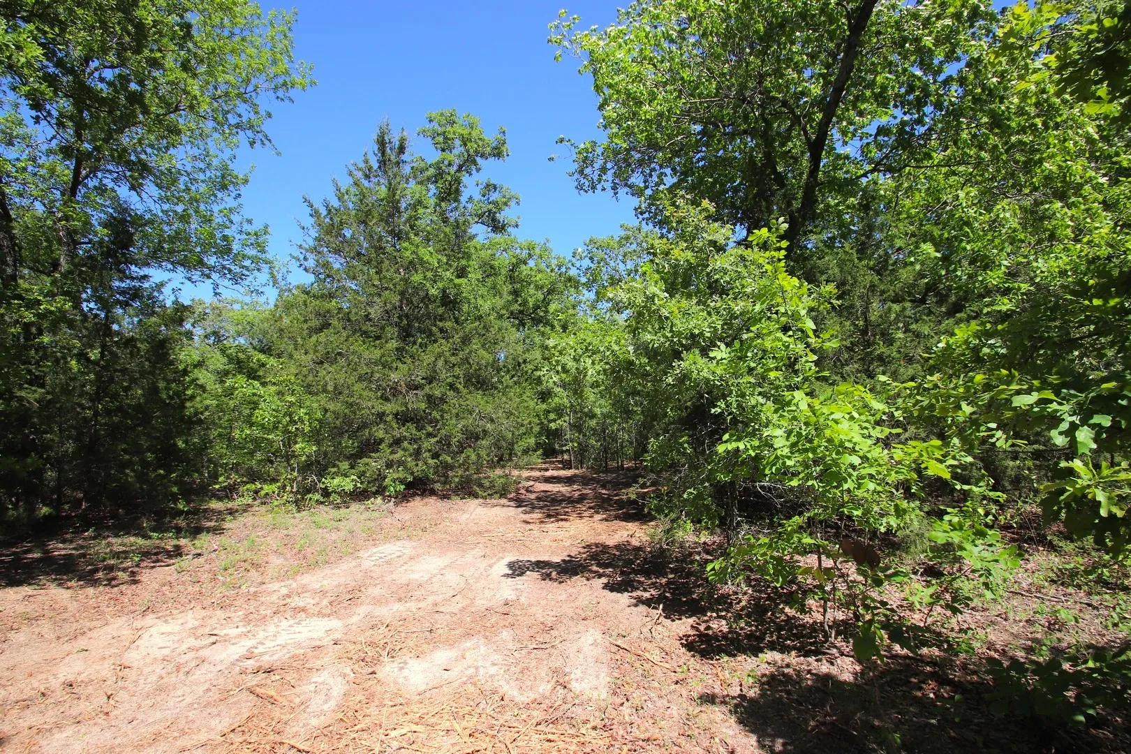 Unimproved Land For Sale in Wood County , TBD CR 4552, Winnsboro, Texas 75494, 0, 0, Garage spaces, 0 Sqft, built in 0, mls#21242821, Real Estate Agent in Winnsboro, Homes For Sale in Wood county, Homes For Sale in Winnsboro, Realtor in Winnsboro Texas, Real Estate Brokerage Independent Realty Texas, Luminita Cordes Realtor