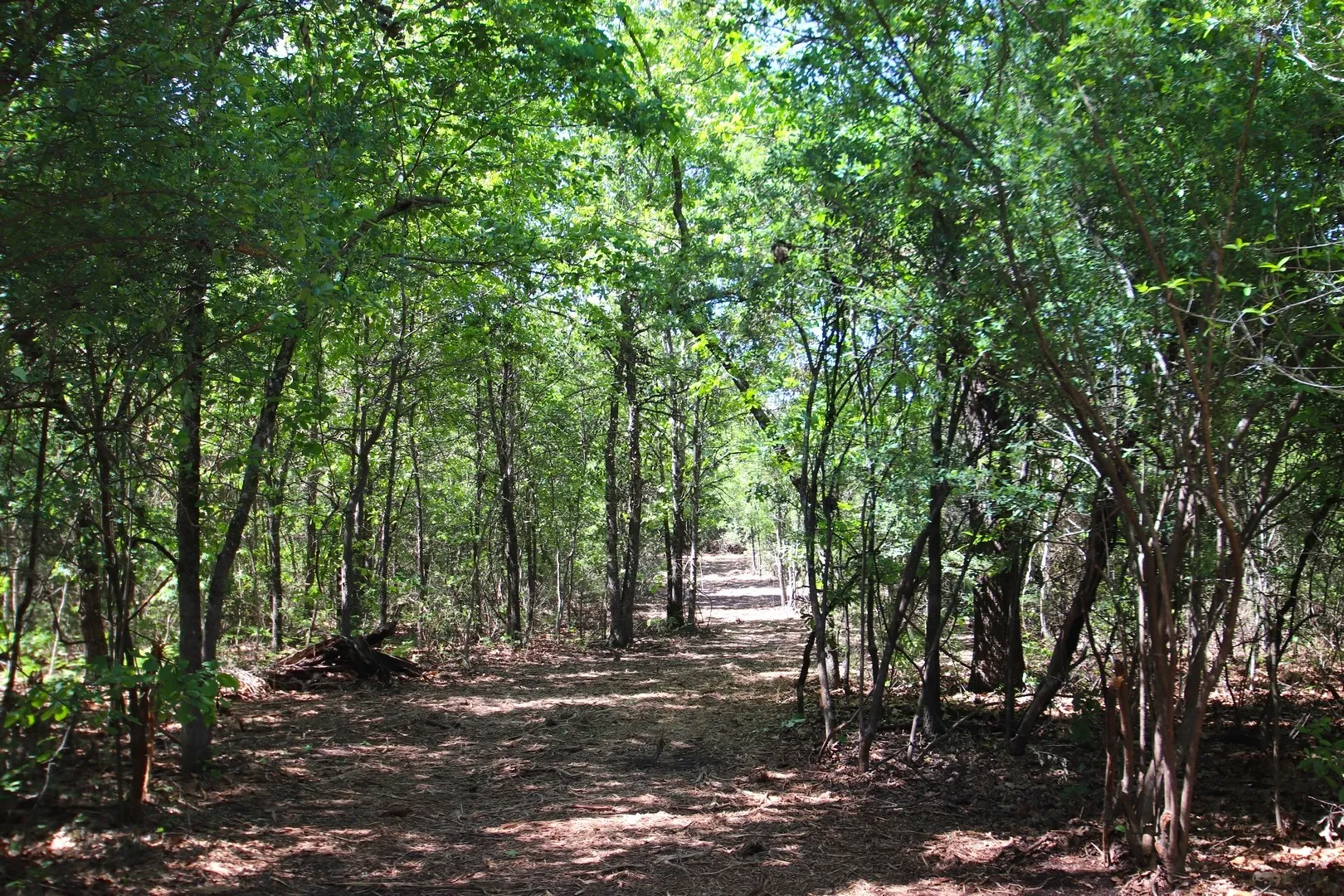 Unimproved Land For Sale in Wood County , TBD CR 4552, Winnsboro, Texas 75494, 0, 0, Garage spaces, 0 Sqft, built in 0, mls#21242821, Real Estate Agent in Winnsboro, Homes For Sale in Wood county, Homes For Sale in Winnsboro, Realtor in Winnsboro Texas, Real Estate Brokerage Independent Realty Texas, Luminita Cordes Realtor