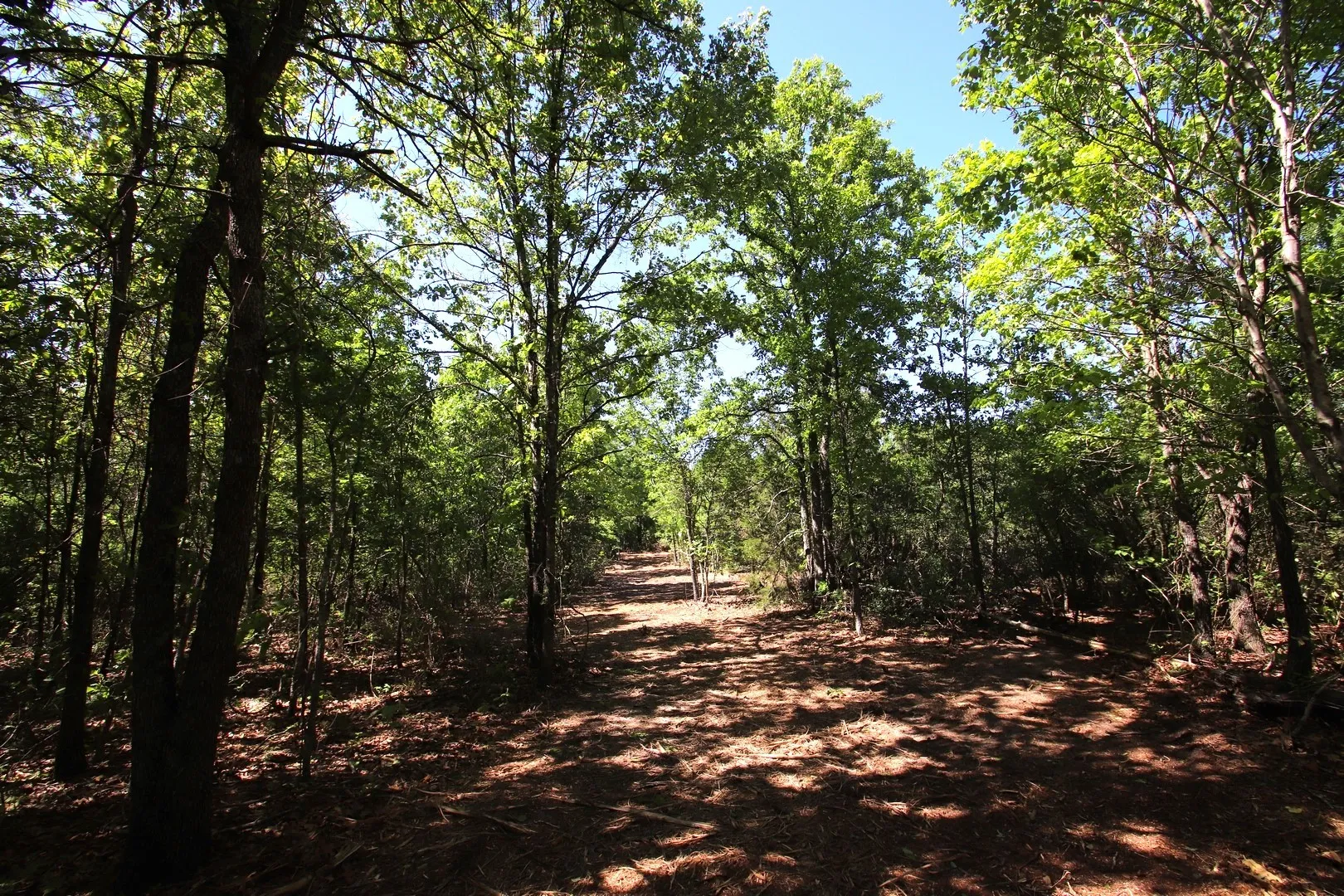 Unimproved Land For Sale in Wood County , TBD CR 4552, Winnsboro, Texas 75494, 0, 0, Garage spaces, 0 Sqft, built in 0, mls#21242821, Real Estate Agent in Winnsboro, Homes For Sale in Wood county, Homes For Sale in Winnsboro, Realtor in Winnsboro Texas, Real Estate Brokerage Independent Realty Texas, Luminita Cordes Realtor