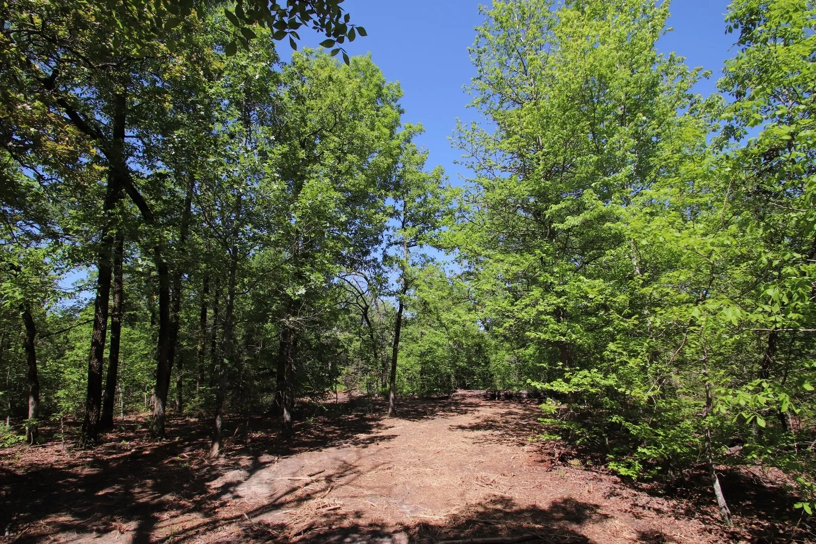 Unimproved Land For Sale in Wood County , TBD CR 4552, Winnsboro, Texas 75494, 0, 0, Garage spaces, 0 Sqft, built in 0, mls#21242821, Real Estate Agent in Winnsboro, Homes For Sale in Wood county, Homes For Sale in Winnsboro, Realtor in Winnsboro Texas, Real Estate Brokerage Independent Realty Texas, Luminita Cordes Realtor