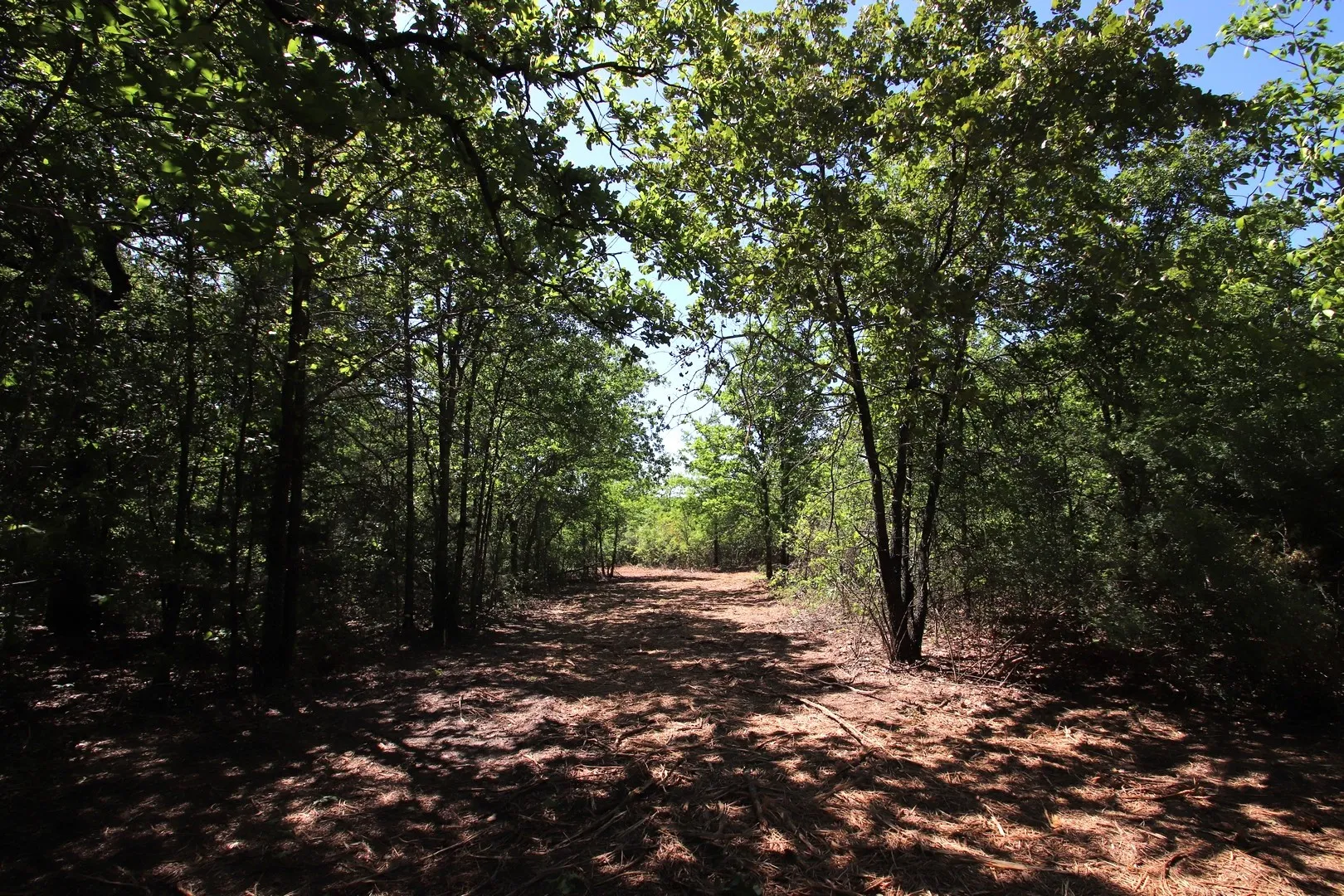 Unimproved Land For Sale in Wood County , TBD CR 4552, Winnsboro, Texas 75494, 0, 0, Garage spaces, 0 Sqft, built in 0, mls#21242821, Real Estate Agent in Winnsboro, Homes For Sale in Wood county, Homes For Sale in Winnsboro, Realtor in Winnsboro Texas, Real Estate Brokerage Independent Realty Texas, Luminita Cordes Realtor