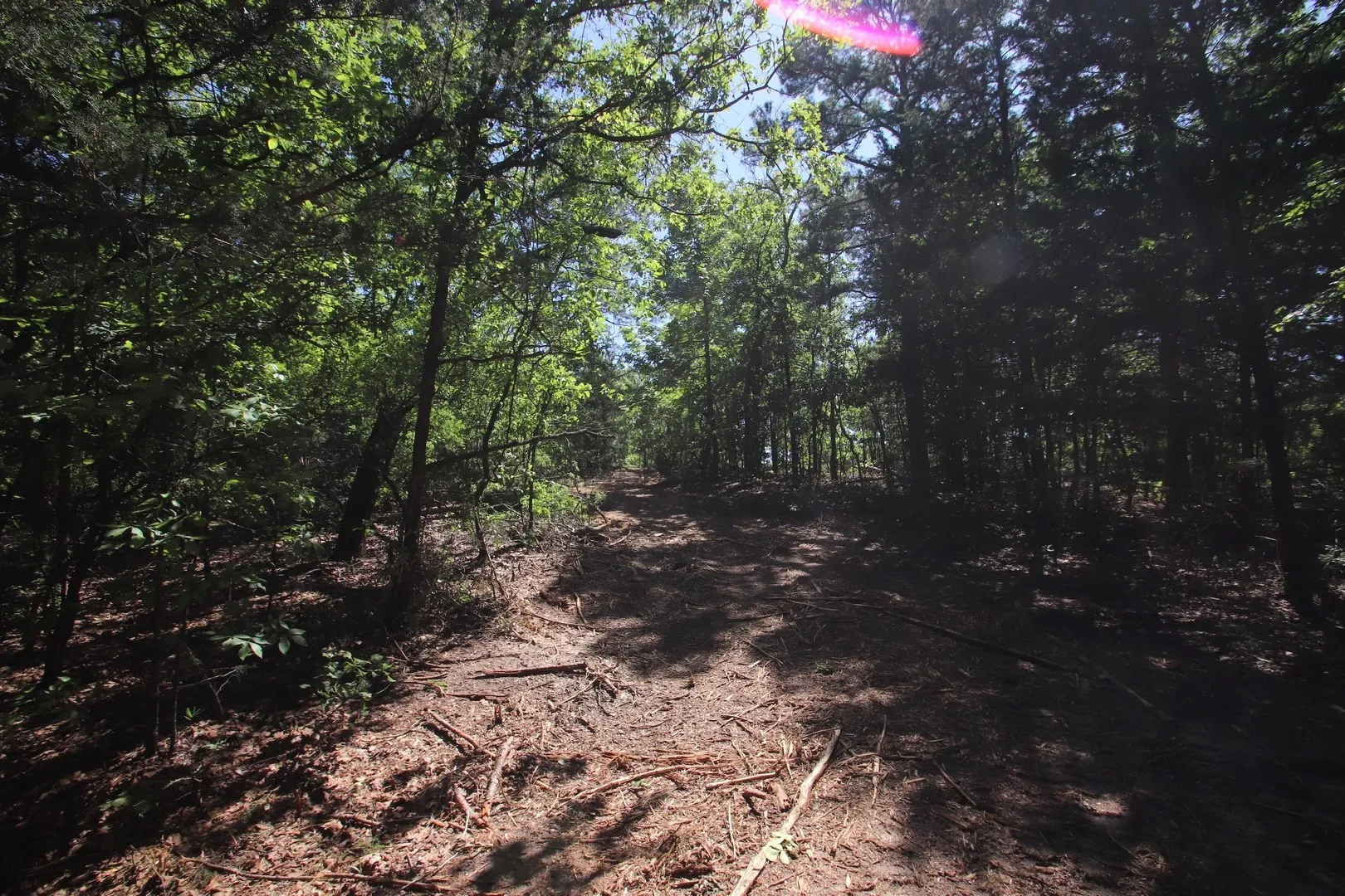 Unimproved Land For Sale in Wood County , TBD CR 4552, Winnsboro, Texas 75494, 0, 0, Garage spaces, 0 Sqft, built in 0, mls#21242821, Real Estate Agent in Winnsboro, Homes For Sale in Wood county, Homes For Sale in Winnsboro, Realtor in Winnsboro Texas, Real Estate Brokerage Independent Realty Texas, Luminita Cordes Realtor