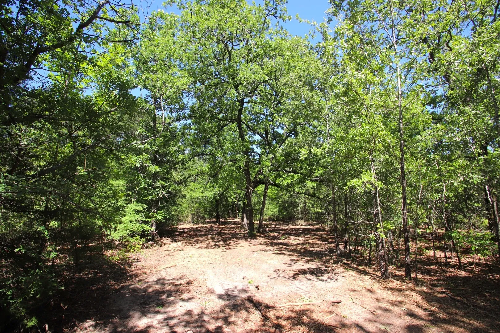 Unimproved Land For Sale in Wood County , TBD CR 4552, Winnsboro, Texas 75494, 0, 0, Garage spaces, 0 Sqft, built in 0, mls#21242821, Real Estate Agent in Winnsboro, Homes For Sale in Wood county, Homes For Sale in Winnsboro, Realtor in Winnsboro Texas, Real Estate Brokerage Independent Realty Texas, Luminita Cordes Realtor