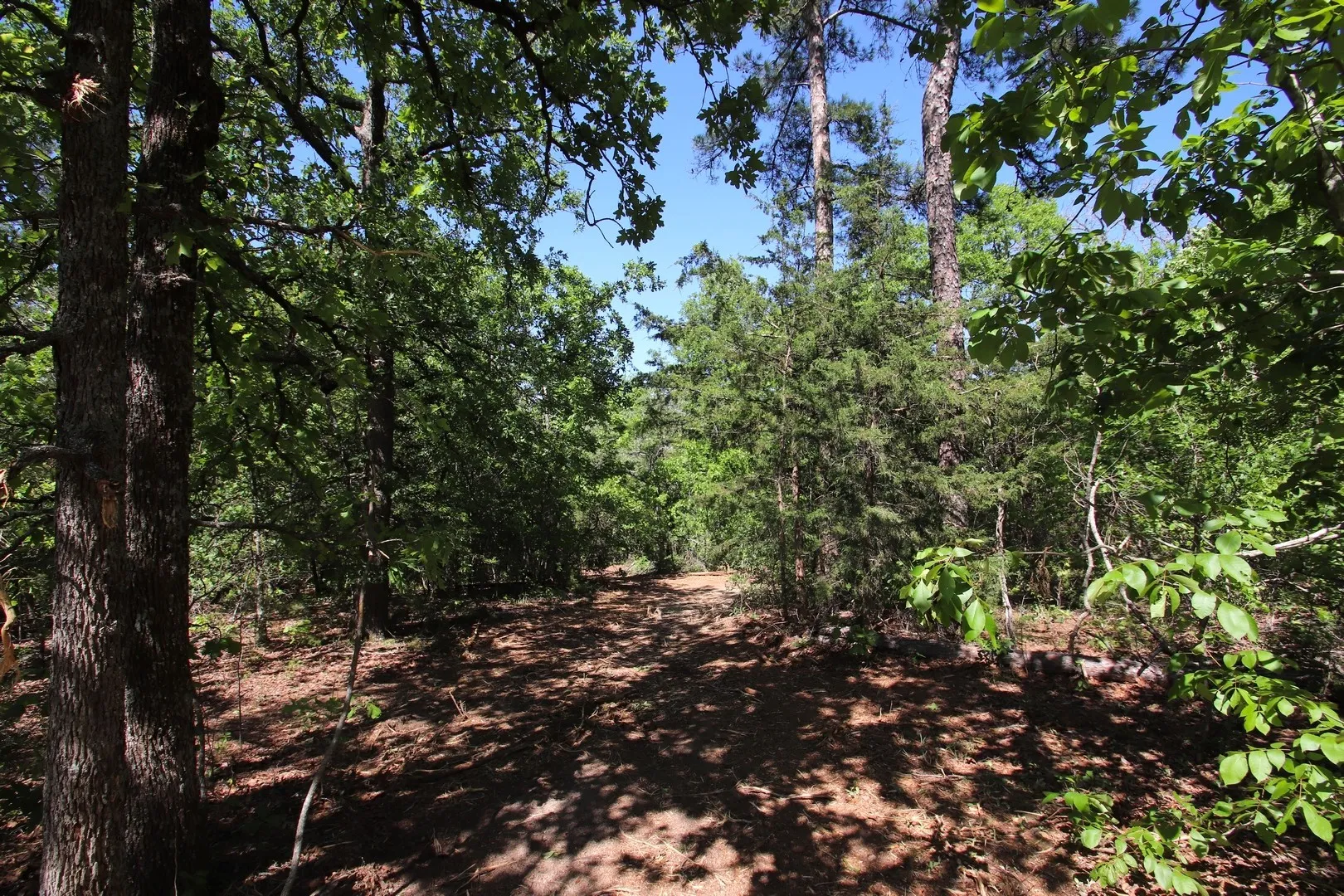 Unimproved Land For Sale in Wood County , TBD CR 4552, Winnsboro, Texas 75494, 0, 0, Garage spaces, 0 Sqft, built in 0, mls#21242821, Real Estate Agent in Winnsboro, Homes For Sale in Wood county, Homes For Sale in Winnsboro, Realtor in Winnsboro Texas, Real Estate Brokerage Independent Realty Texas, Luminita Cordes Realtor