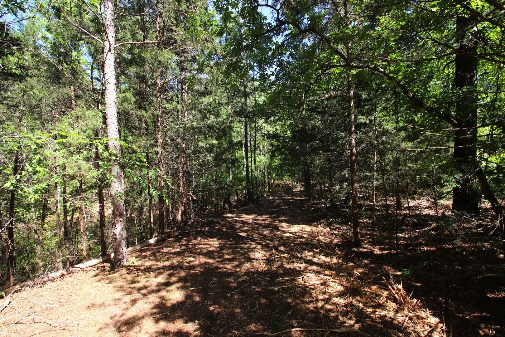 Unimproved Land For Sale in Wood County , TBD CR 4552, Winnsboro, Texas 75494, 0, 0, Garage spaces, 0 Sqft, built in 0, mls#21242821, Real Estate Agent in Winnsboro, Homes For Sale in Wood county, Homes For Sale in Winnsboro, Realtor in Winnsboro Texas, Real Estate Brokerage Independent Realty Texas, Luminita Cordes Realtor