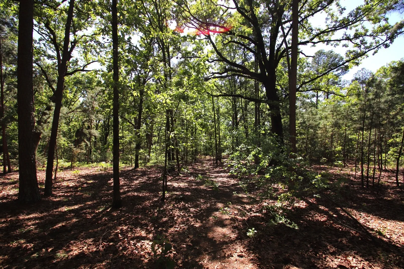 Unimproved Land For Sale in Wood County , TBD CR 4552, Winnsboro, Texas 75494, 0, 0, Garage spaces, 0 Sqft, built in 0, mls#21242821, Real Estate Agent in Winnsboro, Homes For Sale in Wood county, Homes For Sale in Winnsboro, Realtor in Winnsboro Texas, Real Estate Brokerage Independent Realty Texas, Luminita Cordes Realtor
