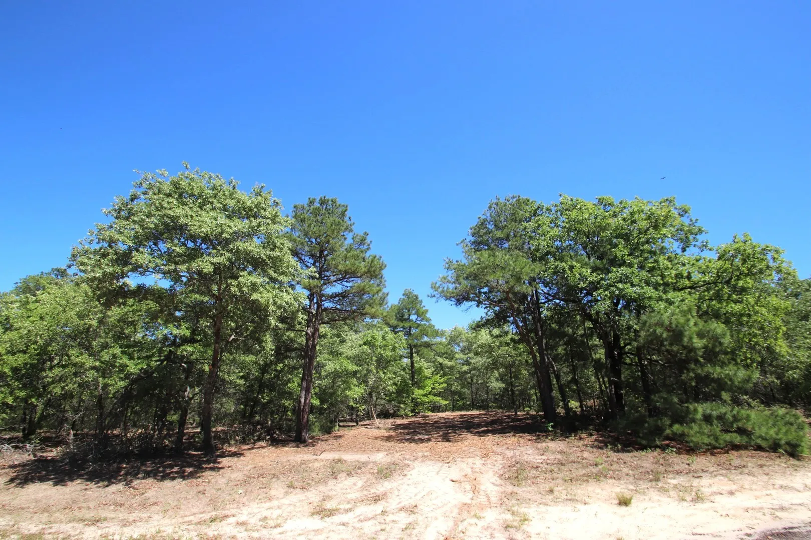 Unimproved Land For Sale in Wood County , TBD CR 4552, Winnsboro, Texas 75494, 0, 0, Garage spaces, 0 Sqft, built in 0, mls#21242821, Real Estate Agent in Winnsboro, Homes For Sale in Wood county, Homes For Sale in Winnsboro, Realtor in Winnsboro Texas, Real Estate Brokerage Independent Realty Texas, Luminita Cordes Realtor