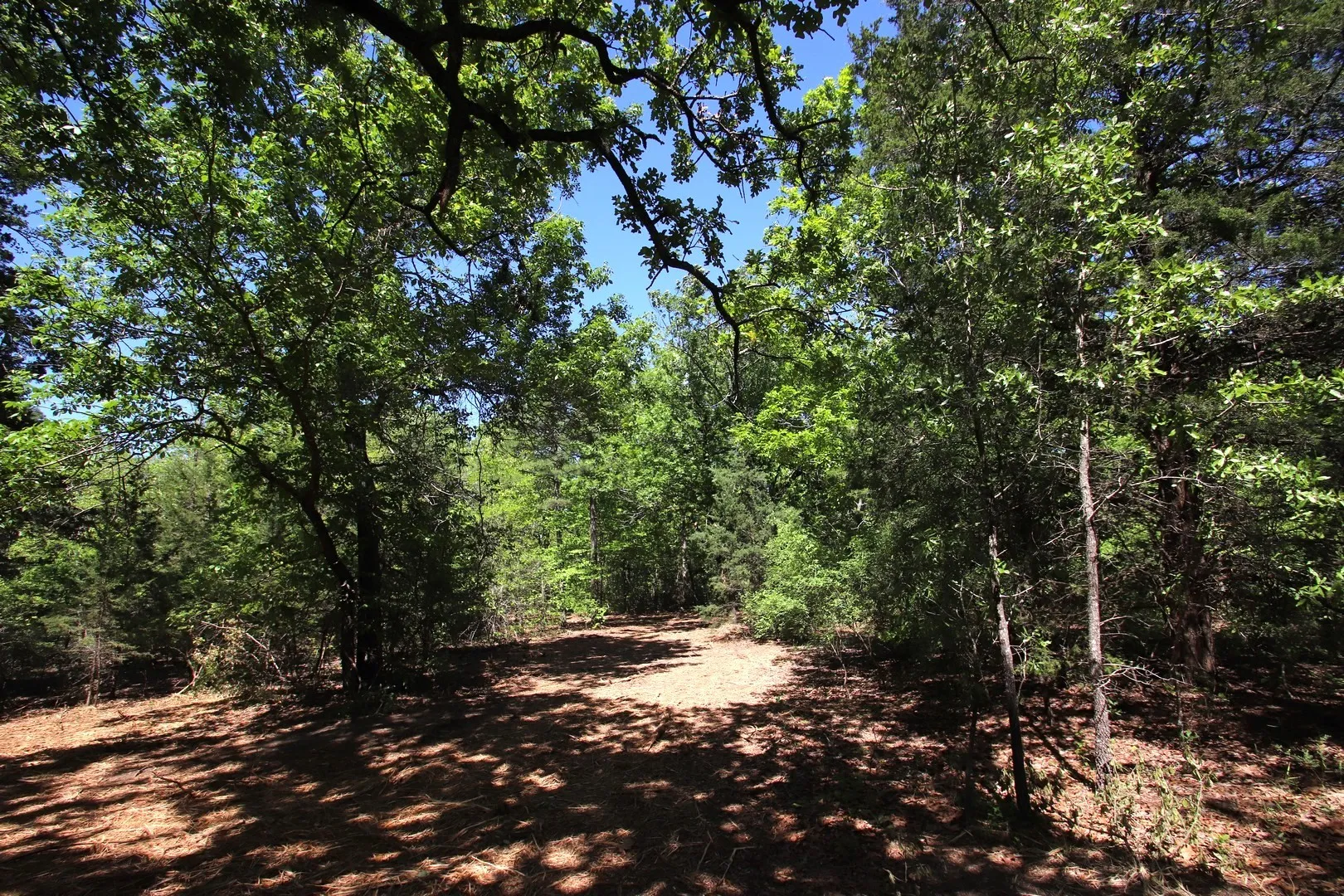 Unimproved Land For Sale in Wood County , TBD CR 4552, Winnsboro, Texas 75494, 0, 0, Garage spaces, 0 Sqft, built in 0, mls#21242821, Real Estate Agent in Winnsboro, Homes For Sale in Wood county, Homes For Sale in Winnsboro, Realtor in Winnsboro Texas, Real Estate Brokerage Independent Realty Texas, Luminita Cordes Realtor