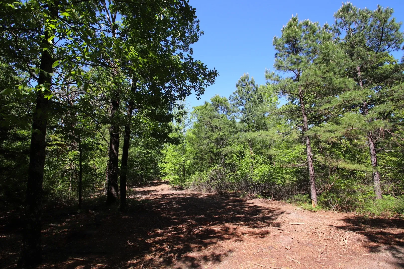 Unimproved Land For Sale in Wood County , TBD CR 4552, Winnsboro, Texas 75494, 0, 0, Garage spaces, 0 Sqft, built in 0, mls#21242821, Real Estate Agent in Winnsboro, Homes For Sale in Wood county, Homes For Sale in Winnsboro, Realtor in Winnsboro Texas, Real Estate Brokerage Independent Realty Texas, Luminita Cordes Realtor